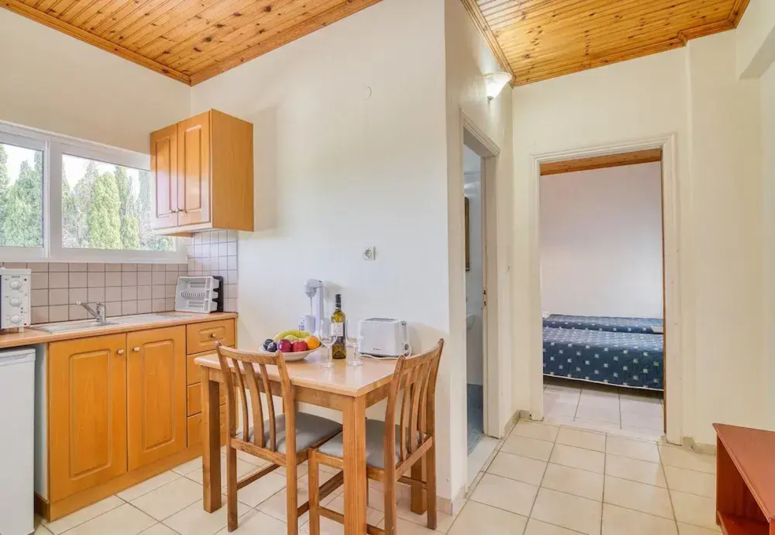 Zante Dolphin I Alykes