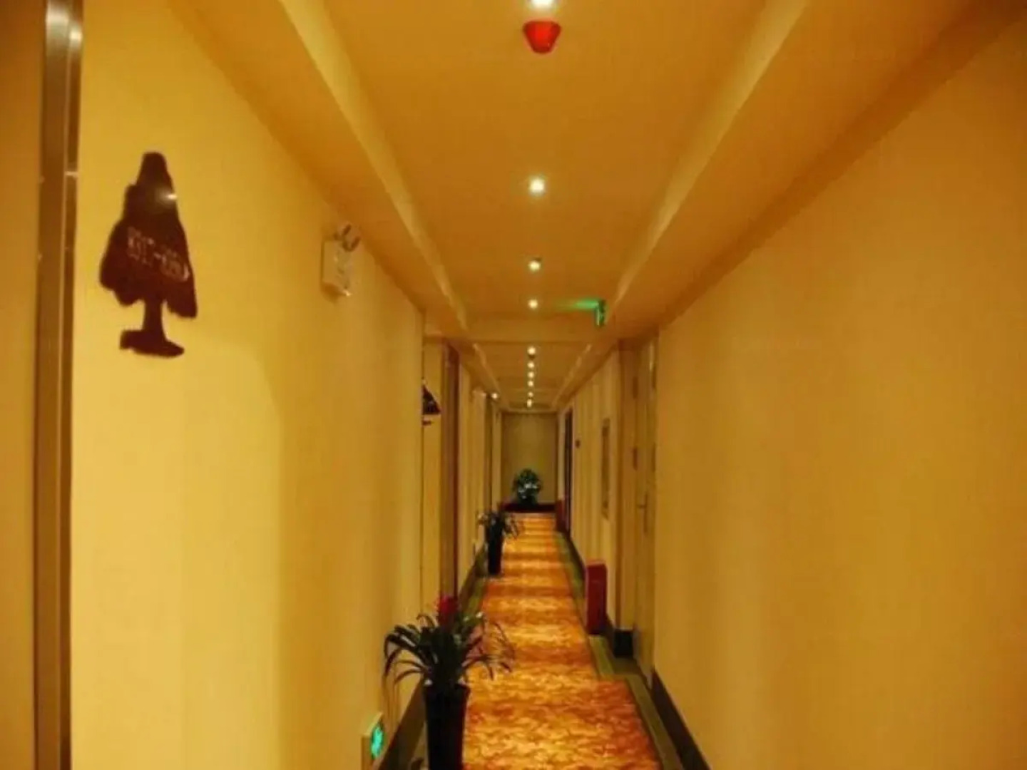 GreenTree Inn Chuzhou Dingyuan County People's Square General Hospital Business Hotel