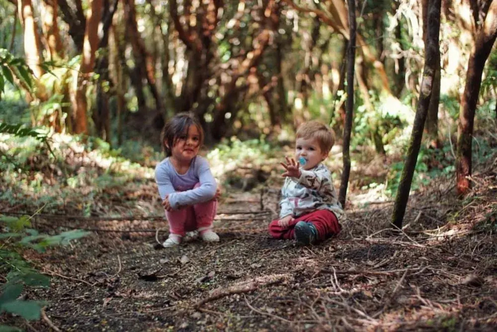 Cabanas Ensenada Bosque Nativo