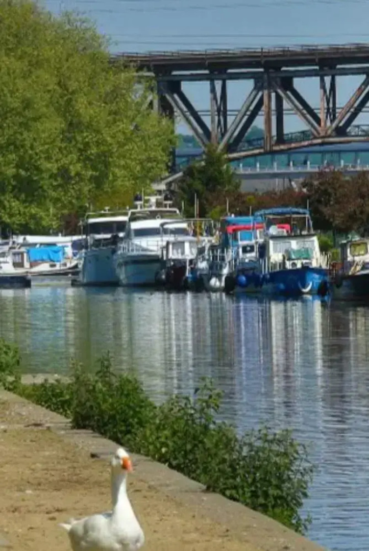 Room-terrace of the Friends of Visé