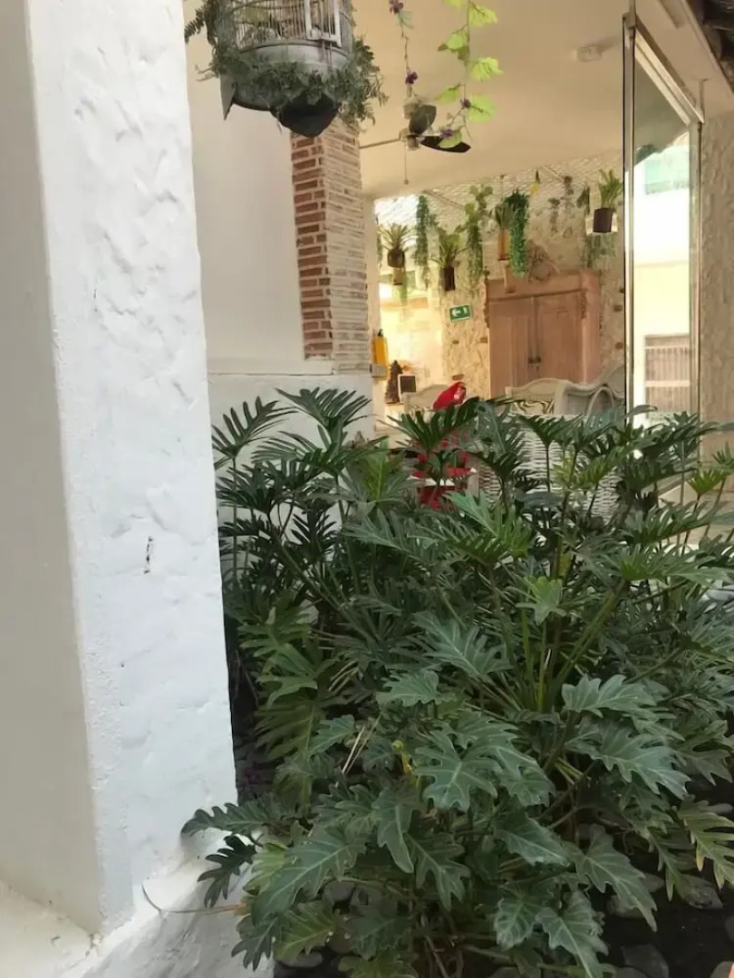 San Angel Hotel Boutique