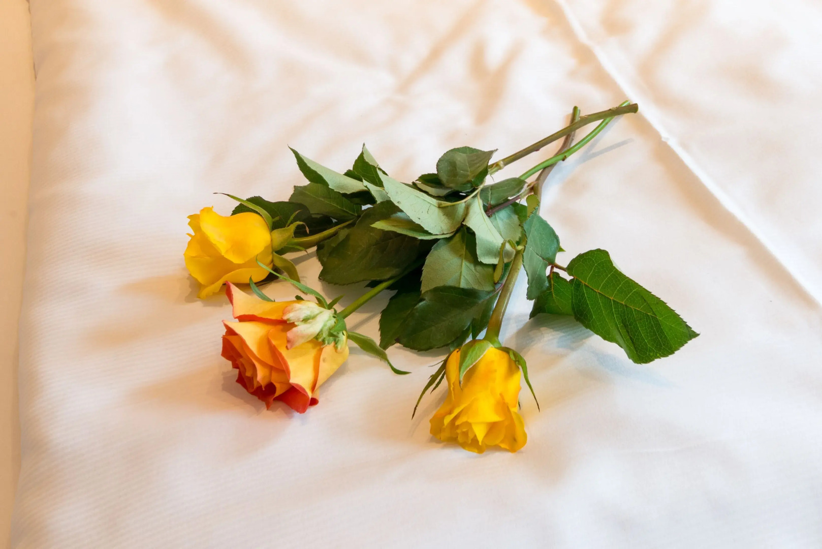 Hotel Sockenbacher Hof