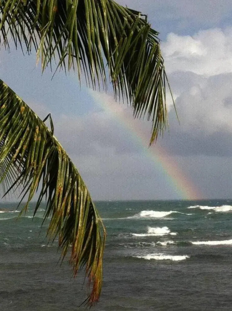 Rainbow Beach Apartments & Rooms