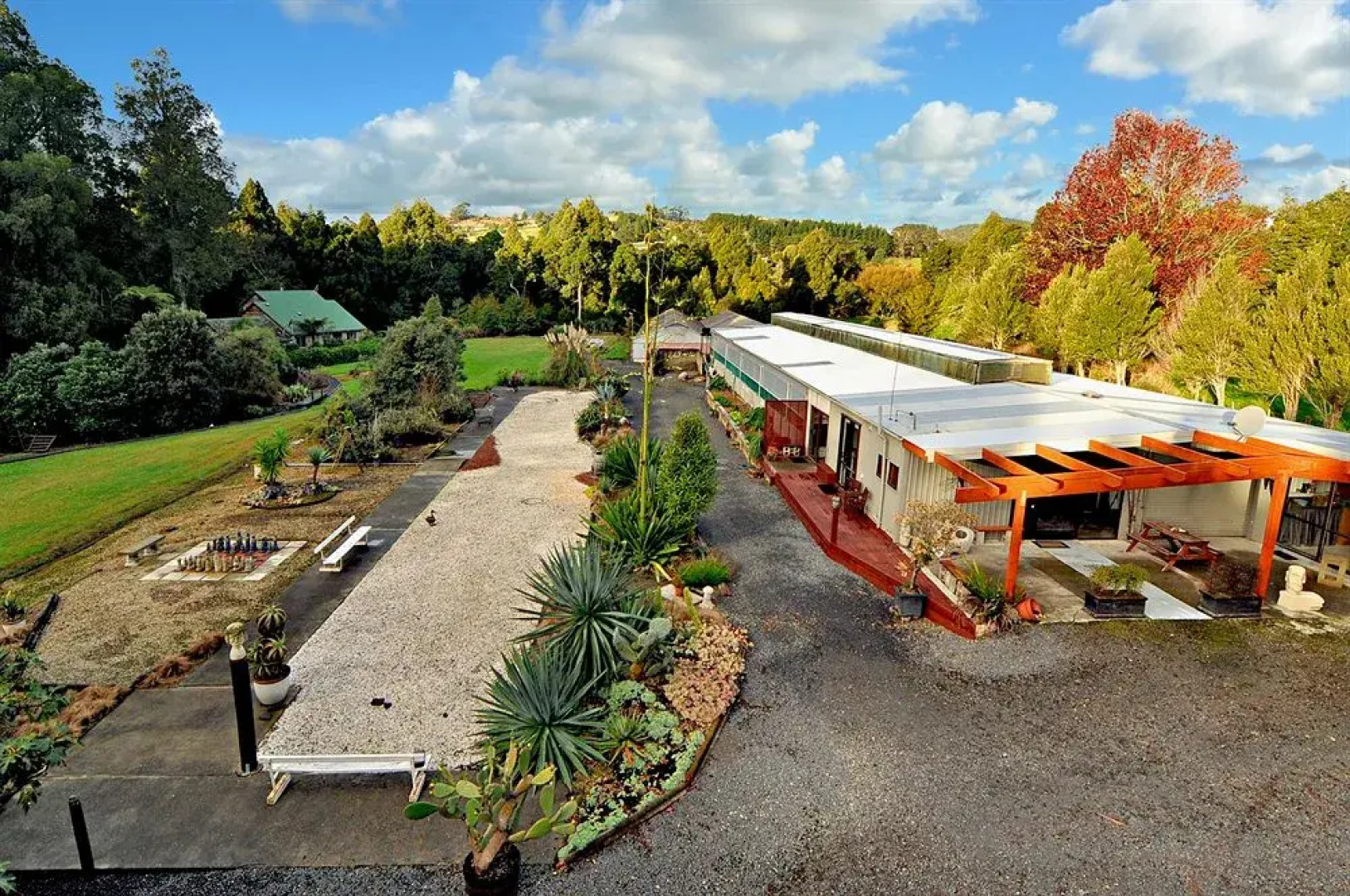 Dancing Trees Auckland