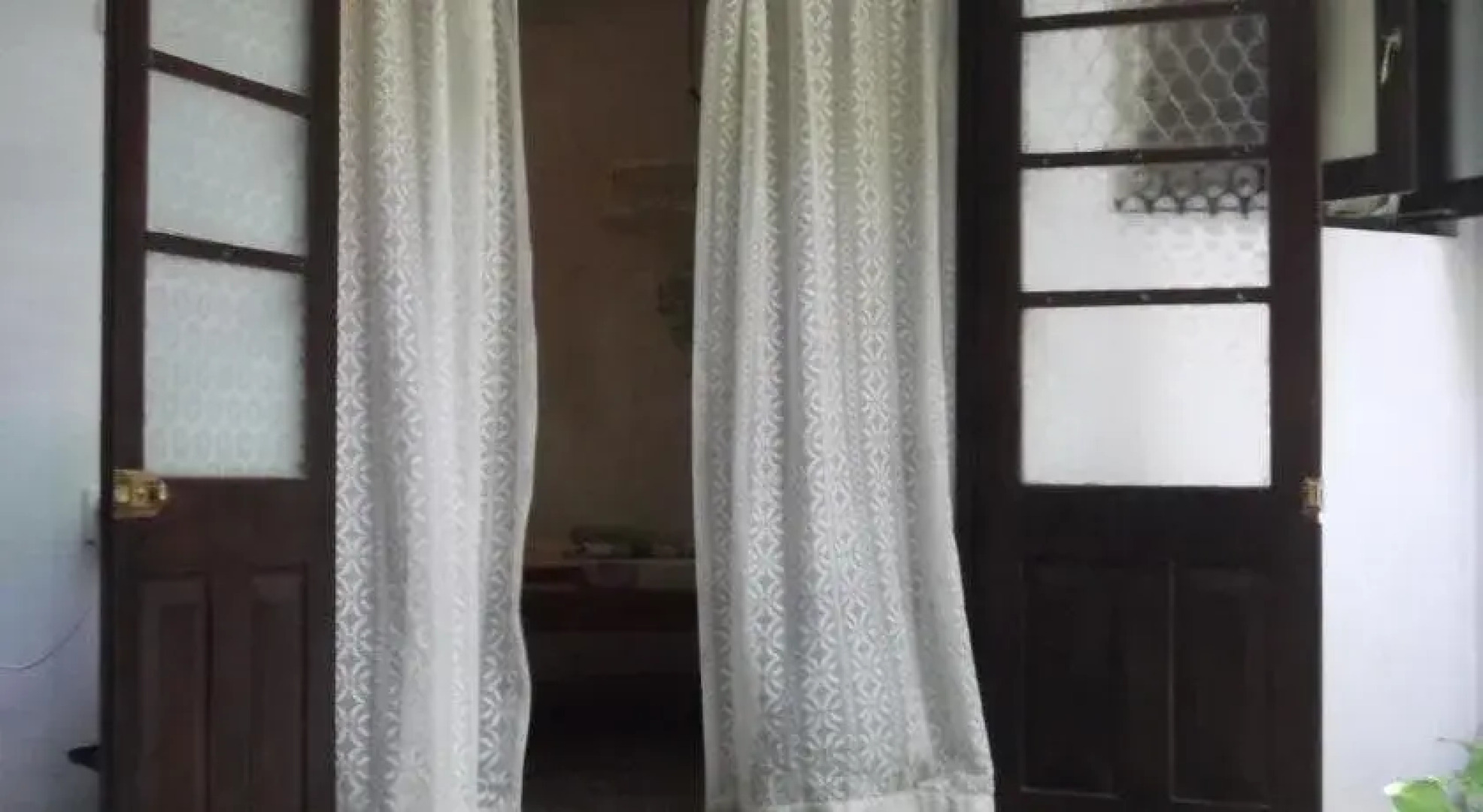 Shoba Traveller's Tree - Galle Fort