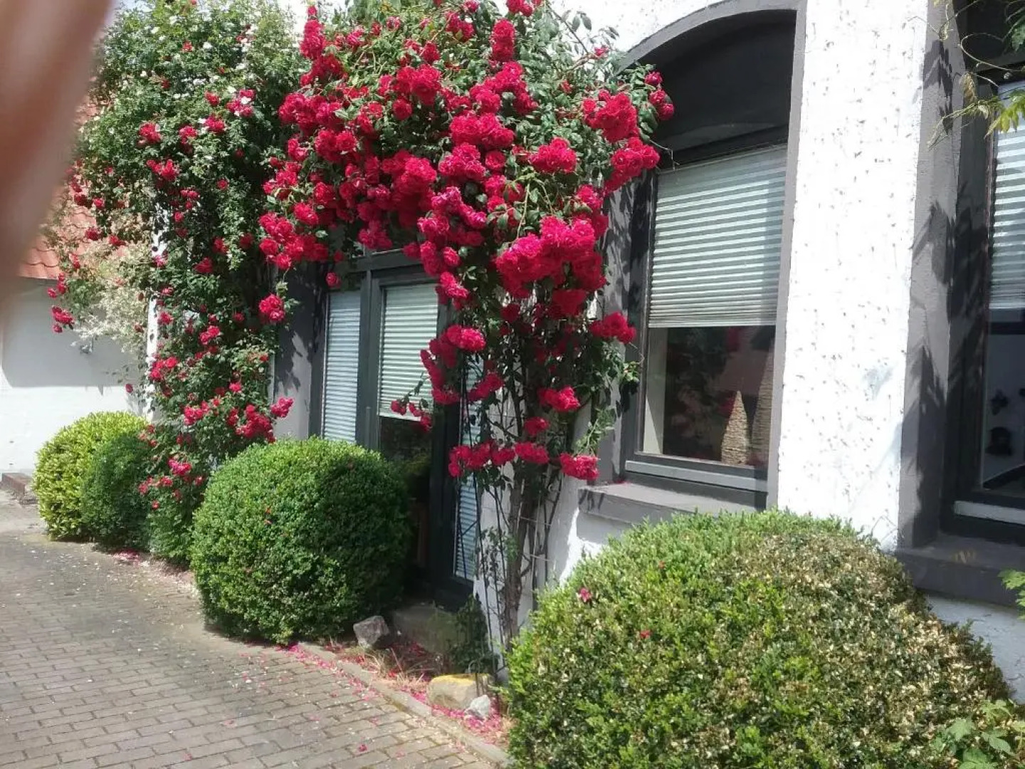 Altstadt-Apartment Petershagen