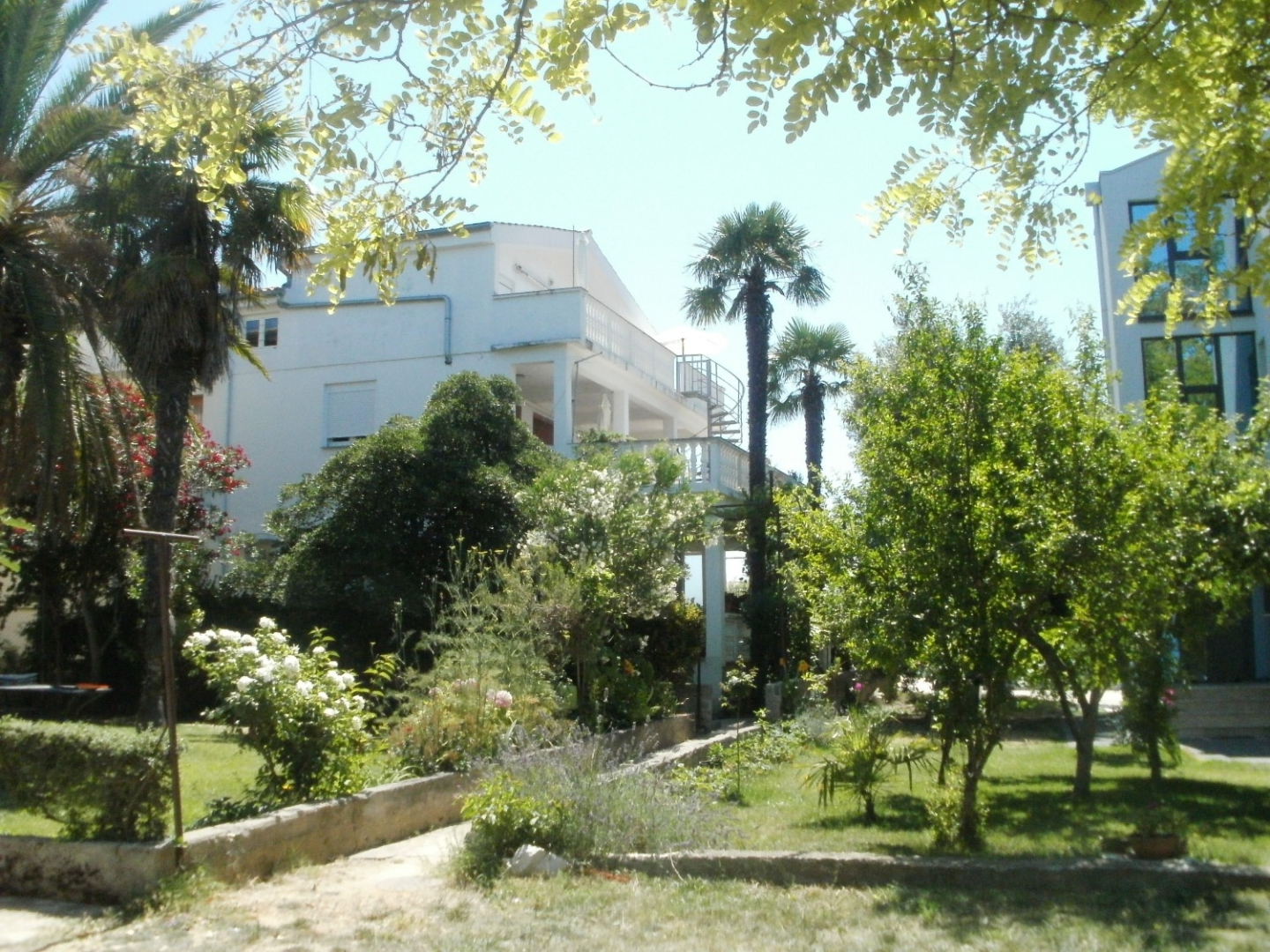 Room Aleksandra - 10 m from sea: R7 Bibinje, Zadar riviera