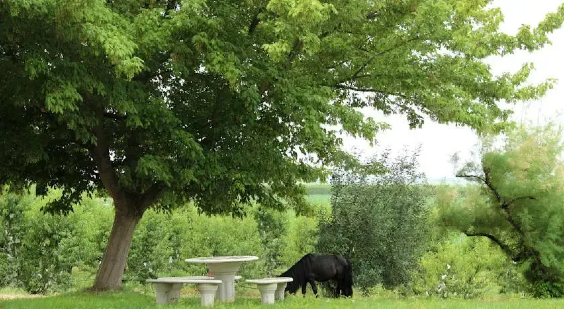 Casa Rural Cal Dalfó