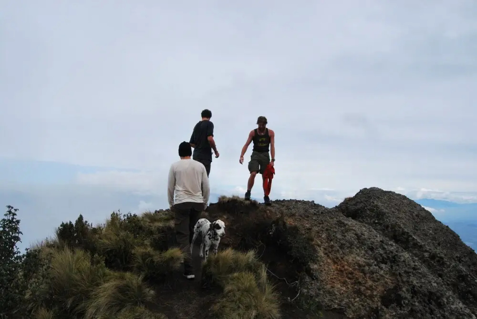 The Secret Garden Cotopaxi - Hostel