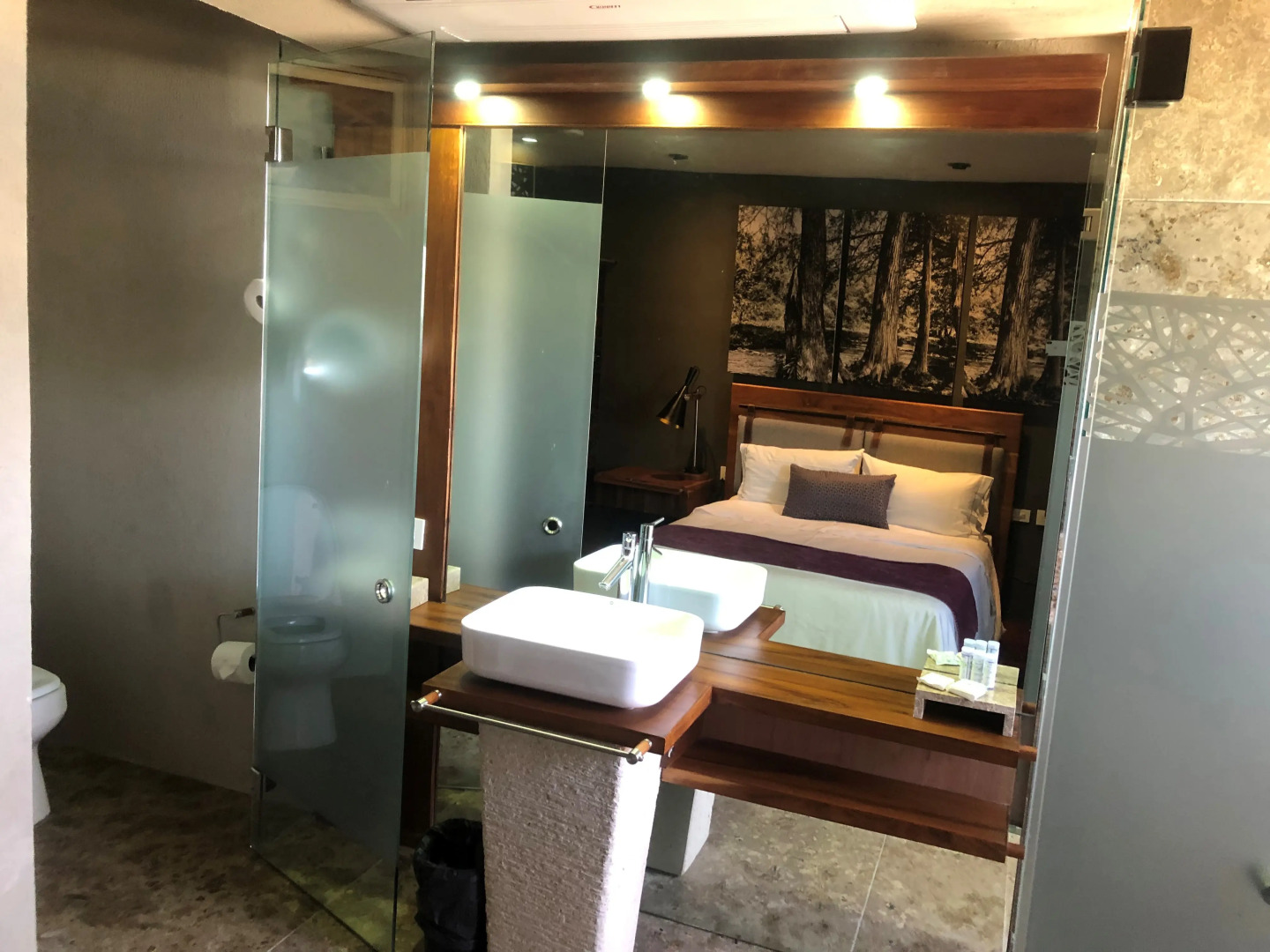 Gamma Rincón de Santiago