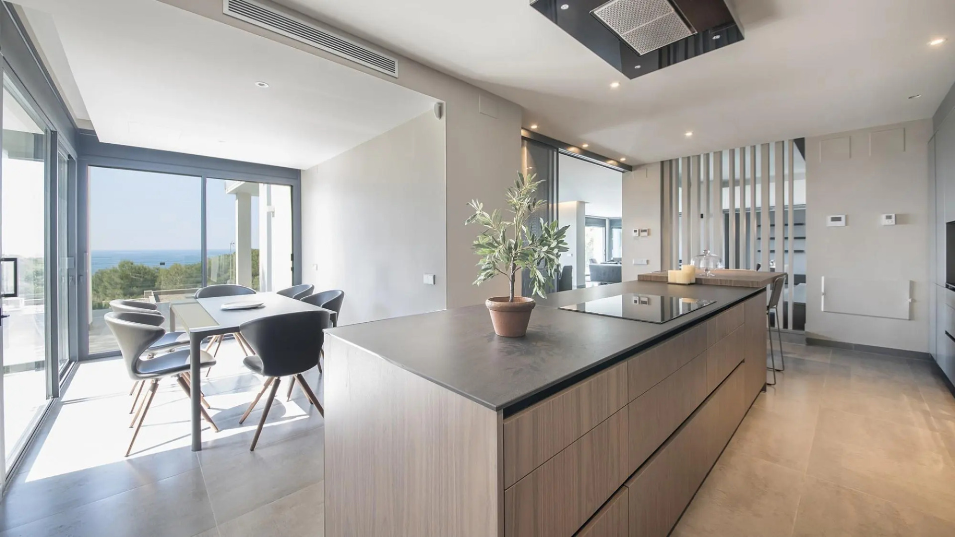 TH85-Limonium-9 in Tarragona