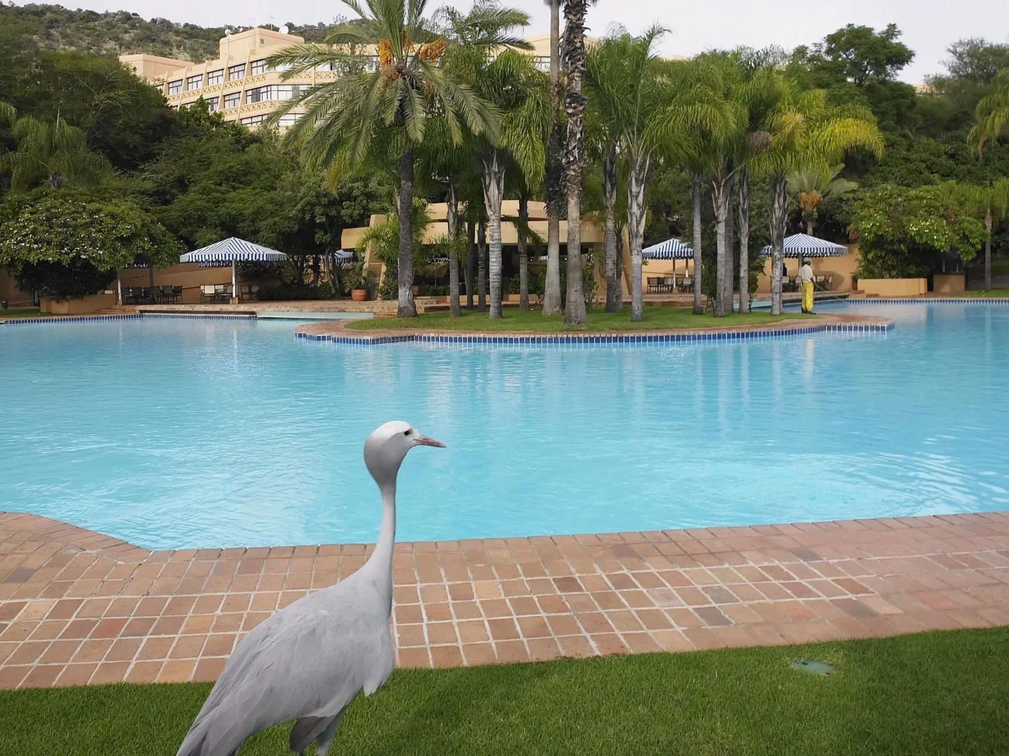 Sun City Hotel and Casino