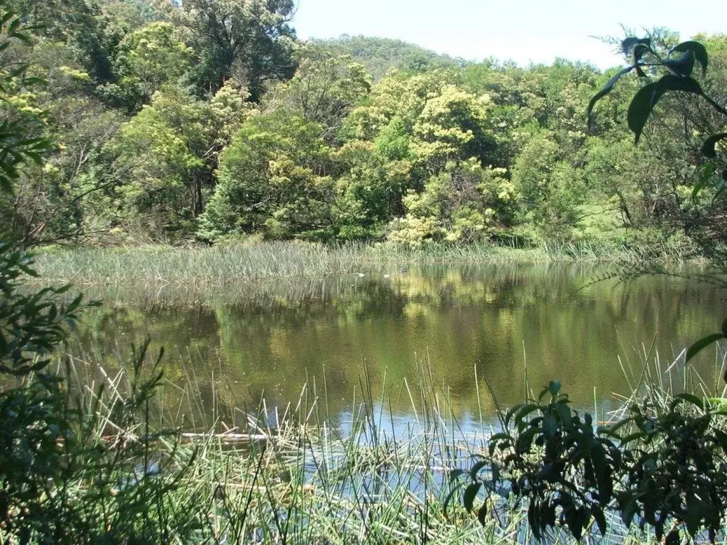 Bountiful Farm House