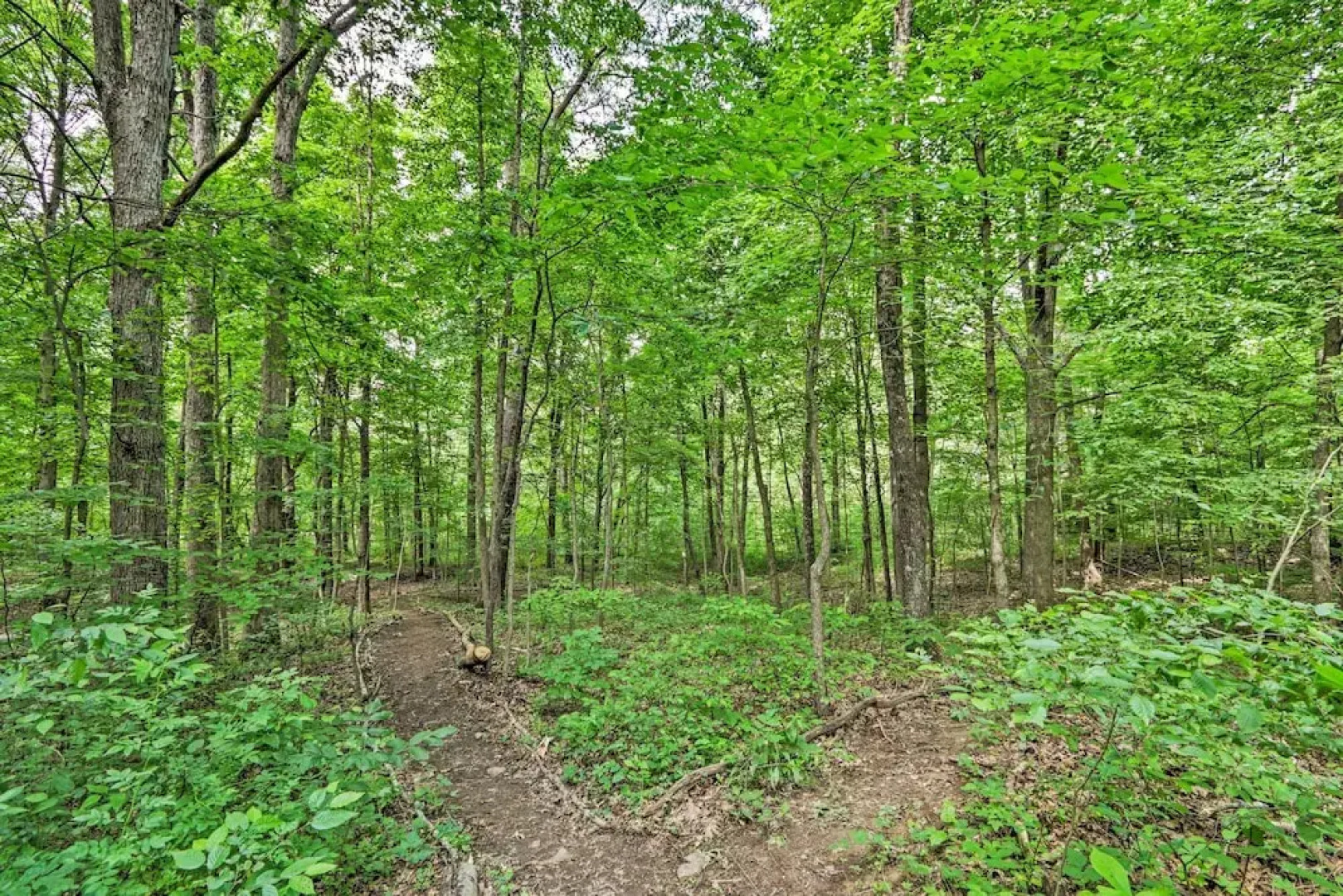 Quiet Cabin w/ Hot Tub ~ 15 Mi to State Parks!