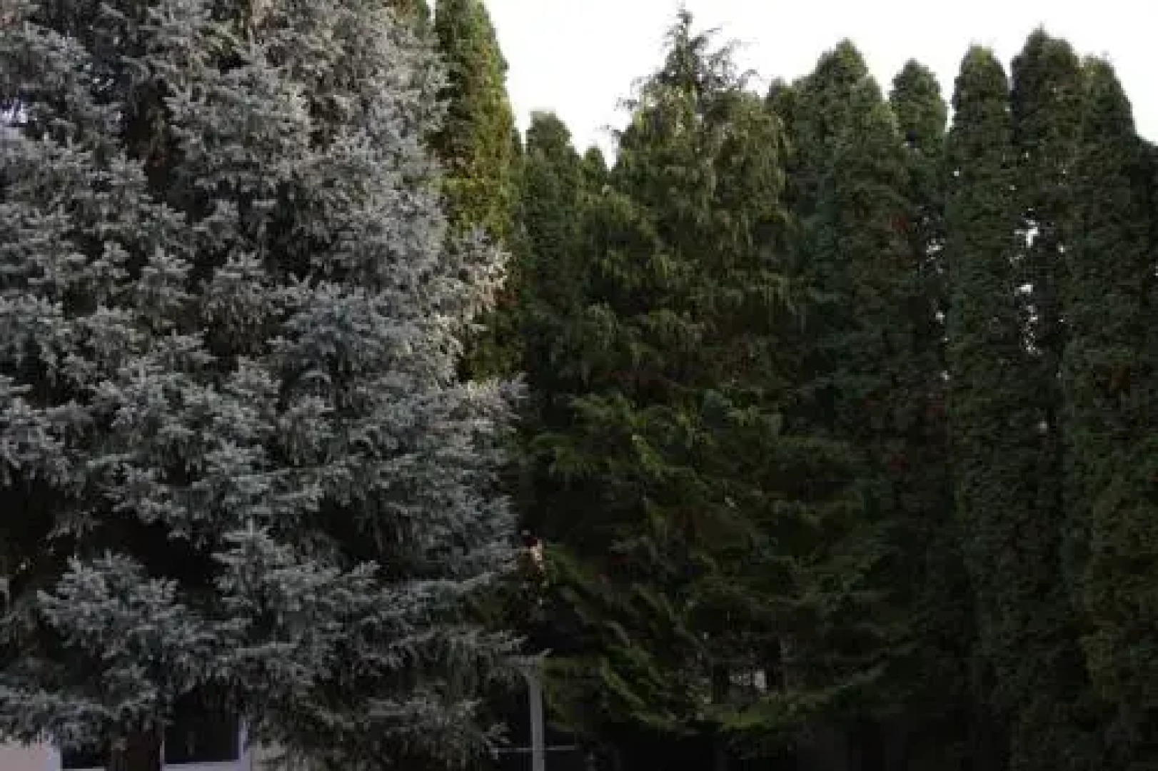 Pálma Panzió és Vendégház