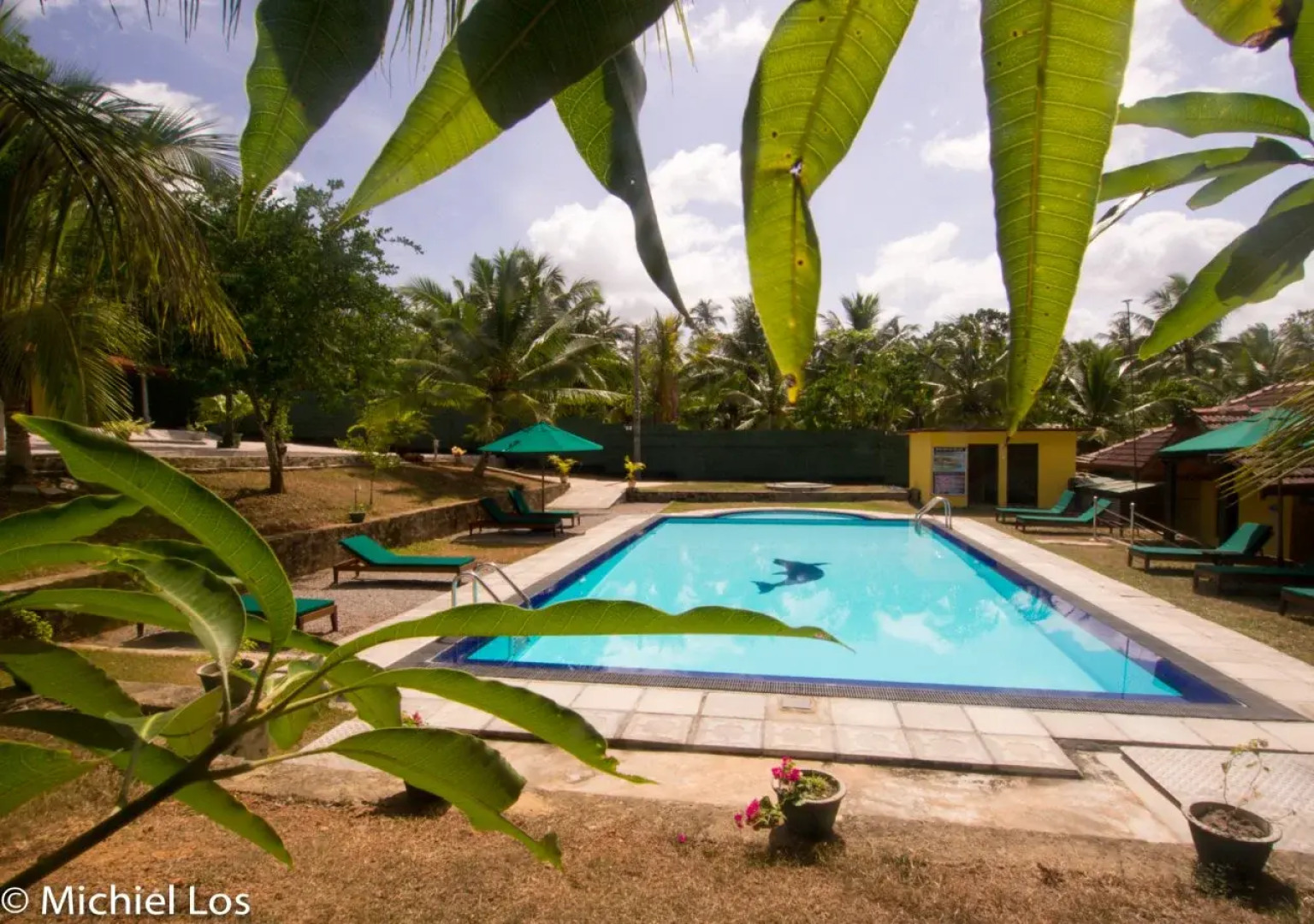 Resort Like No Other