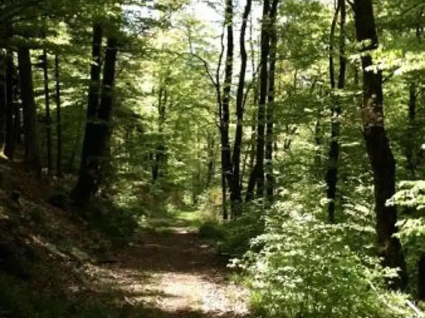 Chalet Saint-Nabord, 4 pièces, 6 personnes - FR-1-589-255