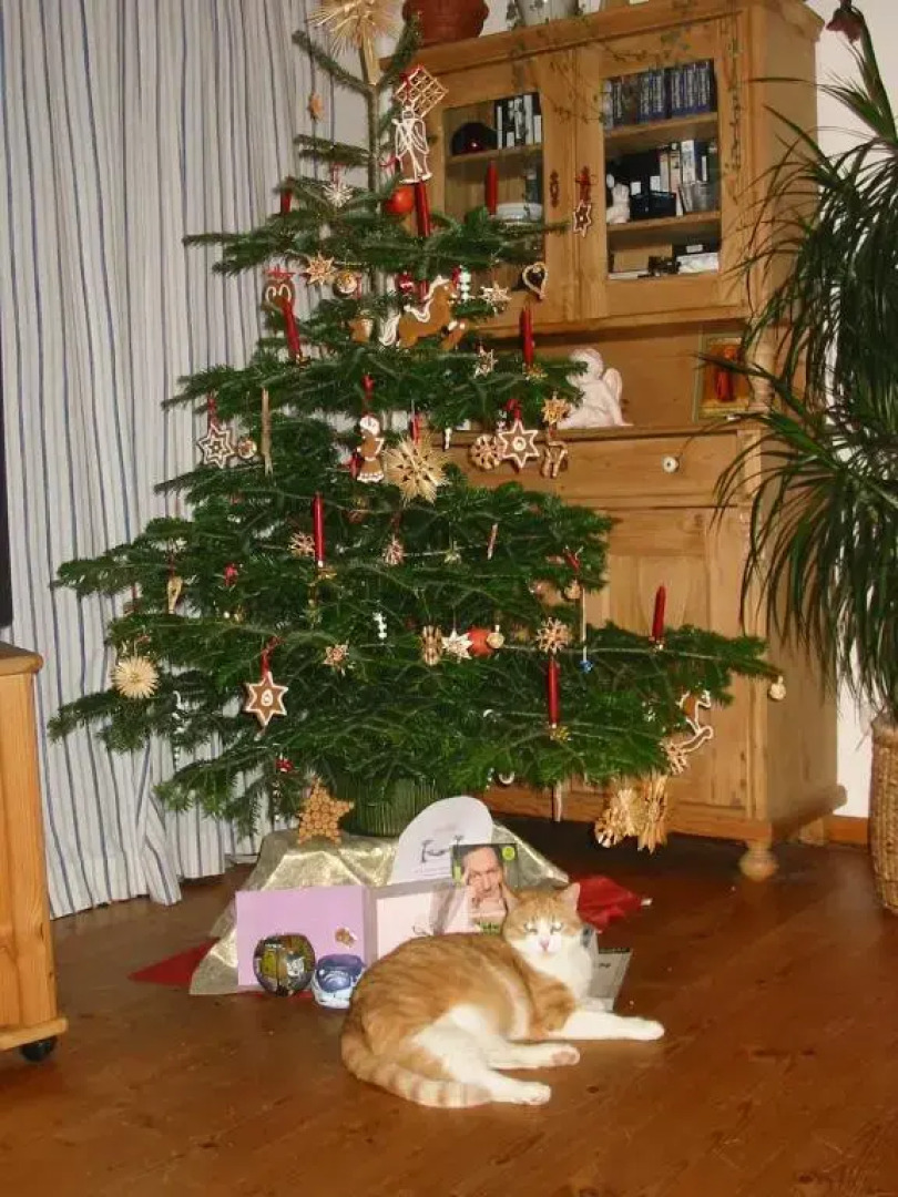 Ferienwohnung Am Pflanzgarten