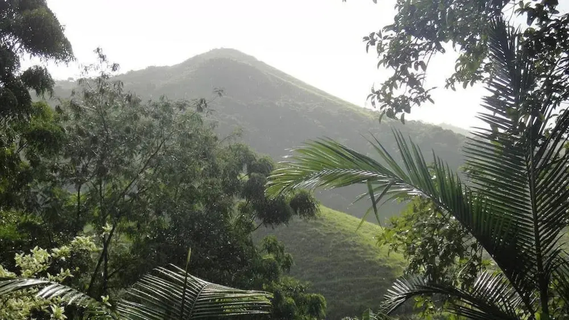 Núcleo Terra Pousada