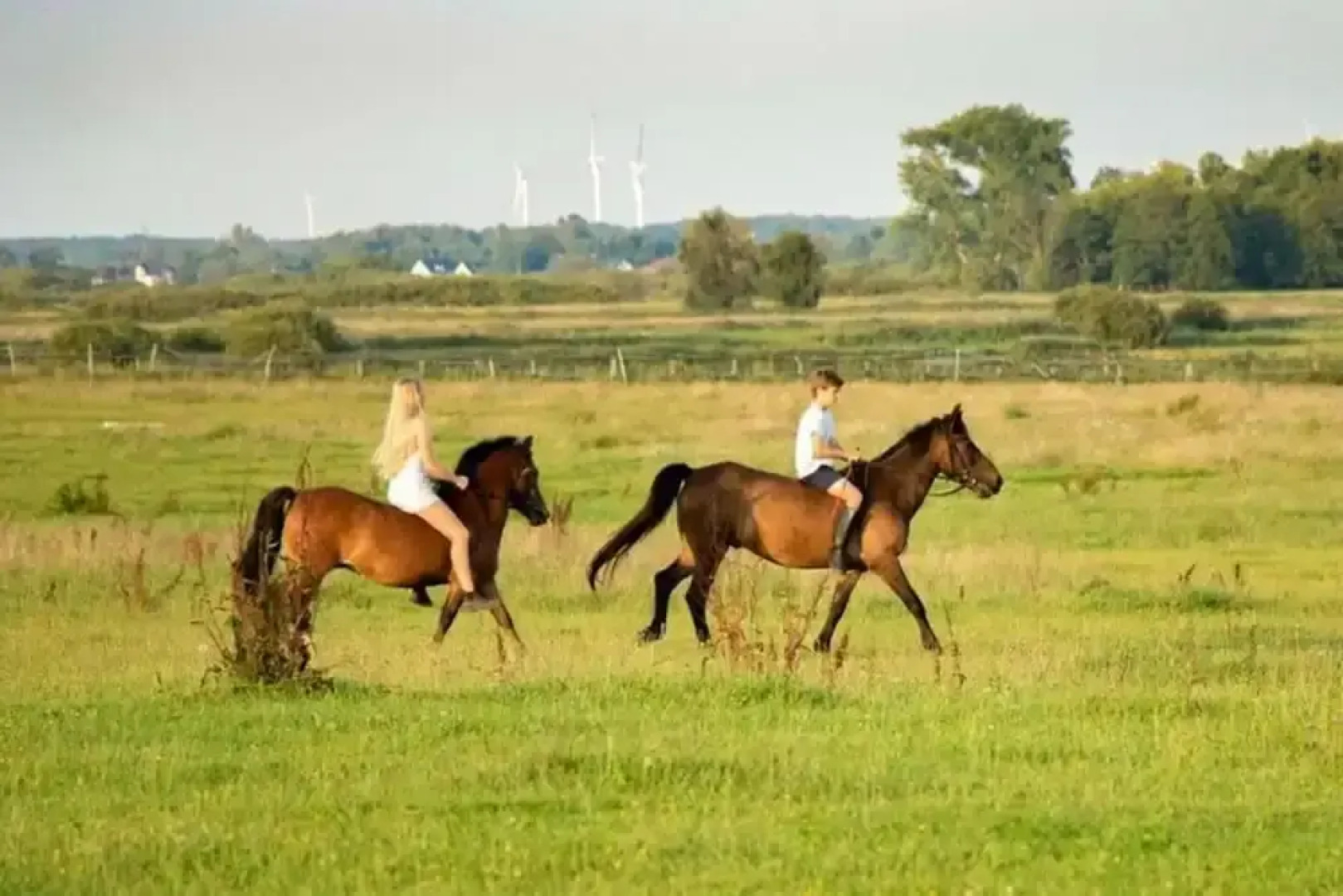 Wooden Summer Houses, Bobolin