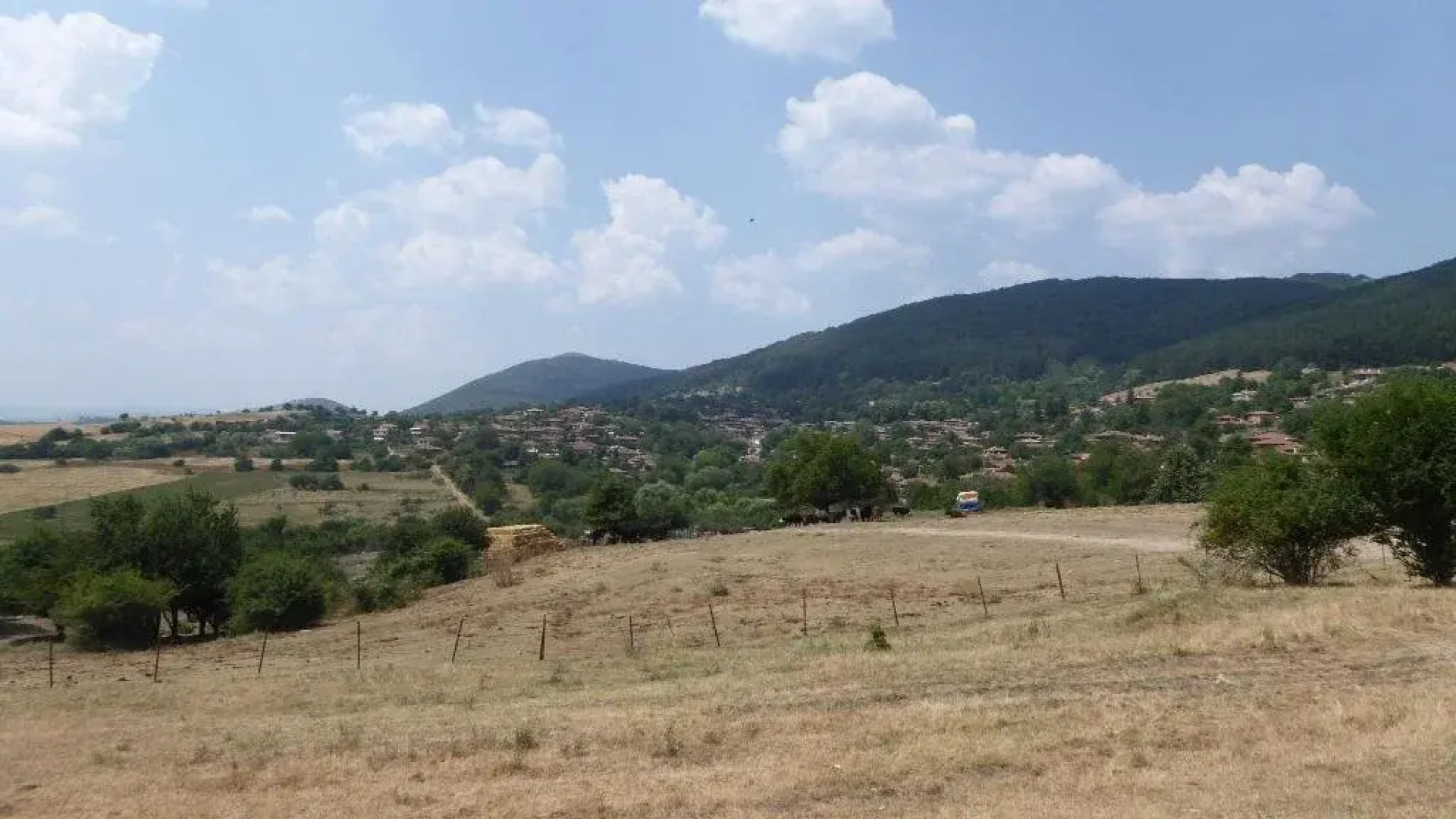 The House With The Vine Guest House