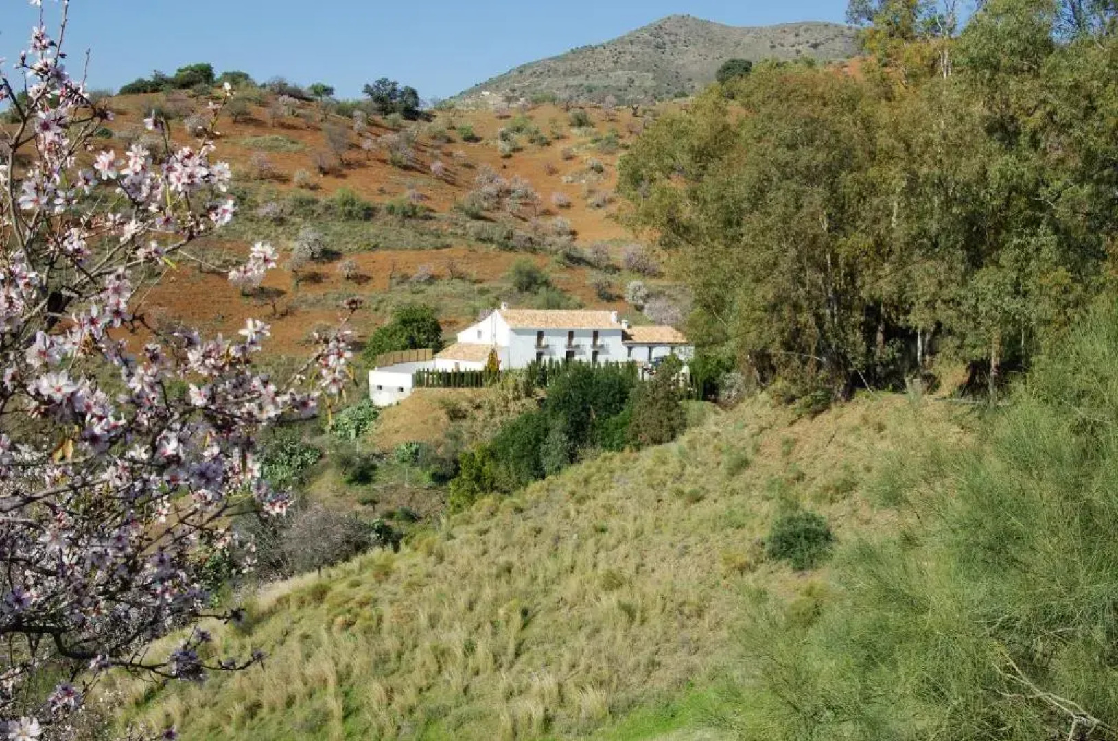 Rural Montes Málaga: Cortijo La Palma