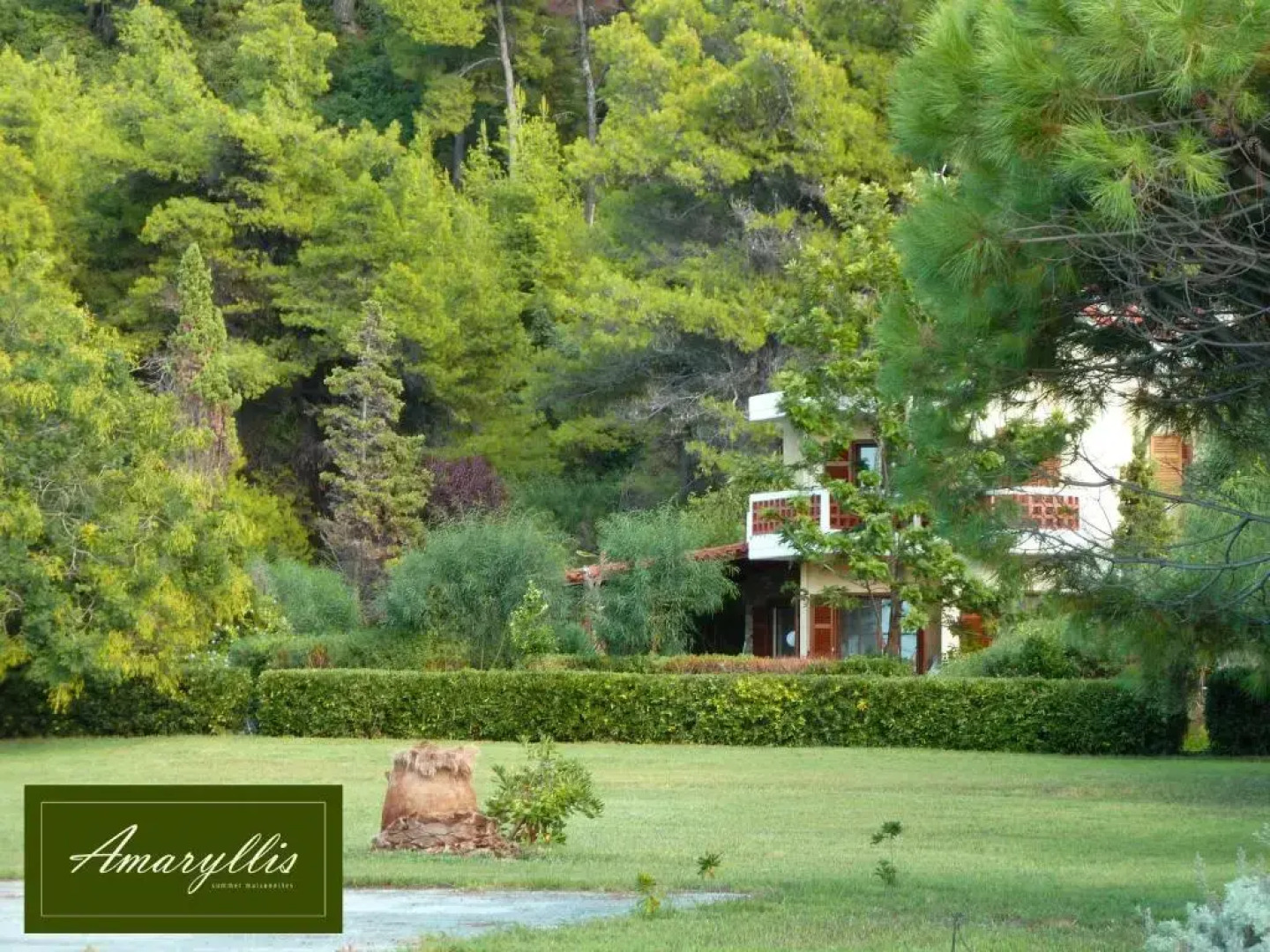 Amaryllis Summer Maisonettes