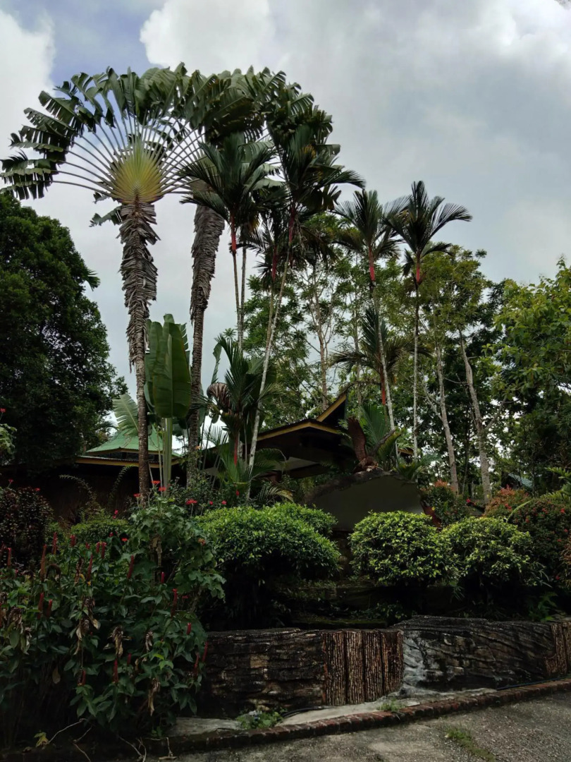 Sepilok Jungle Resort