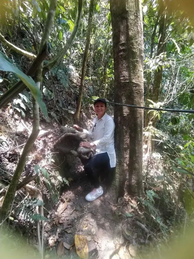 Cabanas Tierra Prometida
