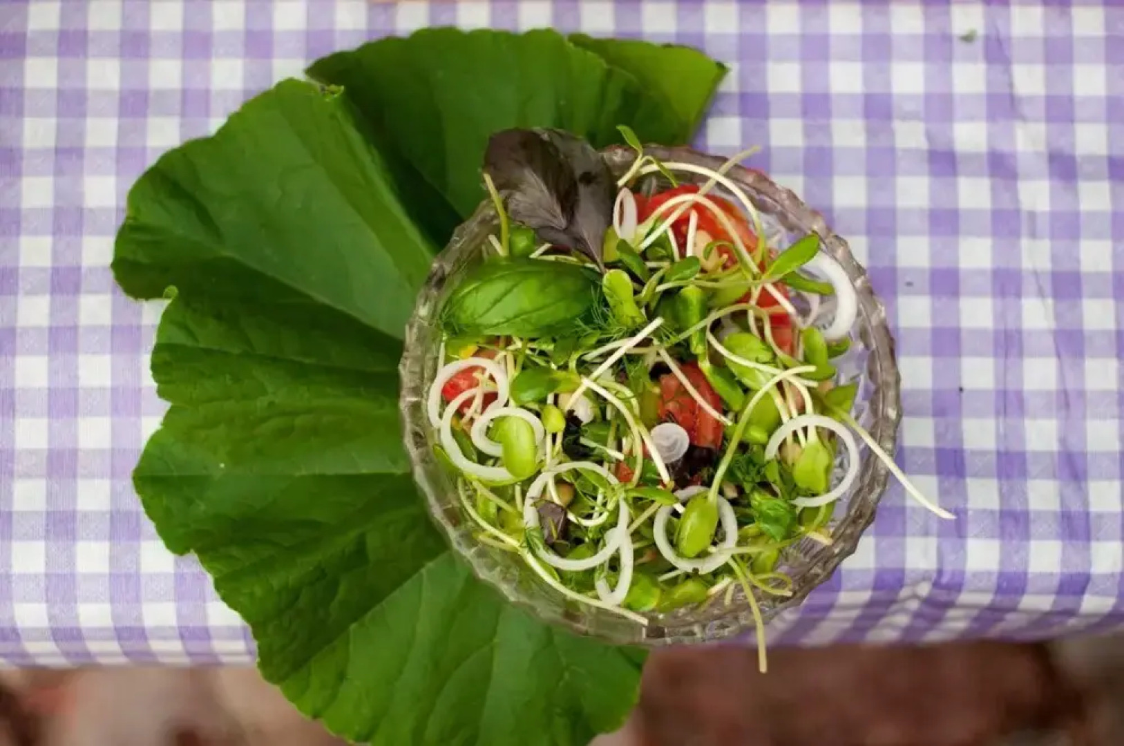 Nemunas Tour Guesthouse