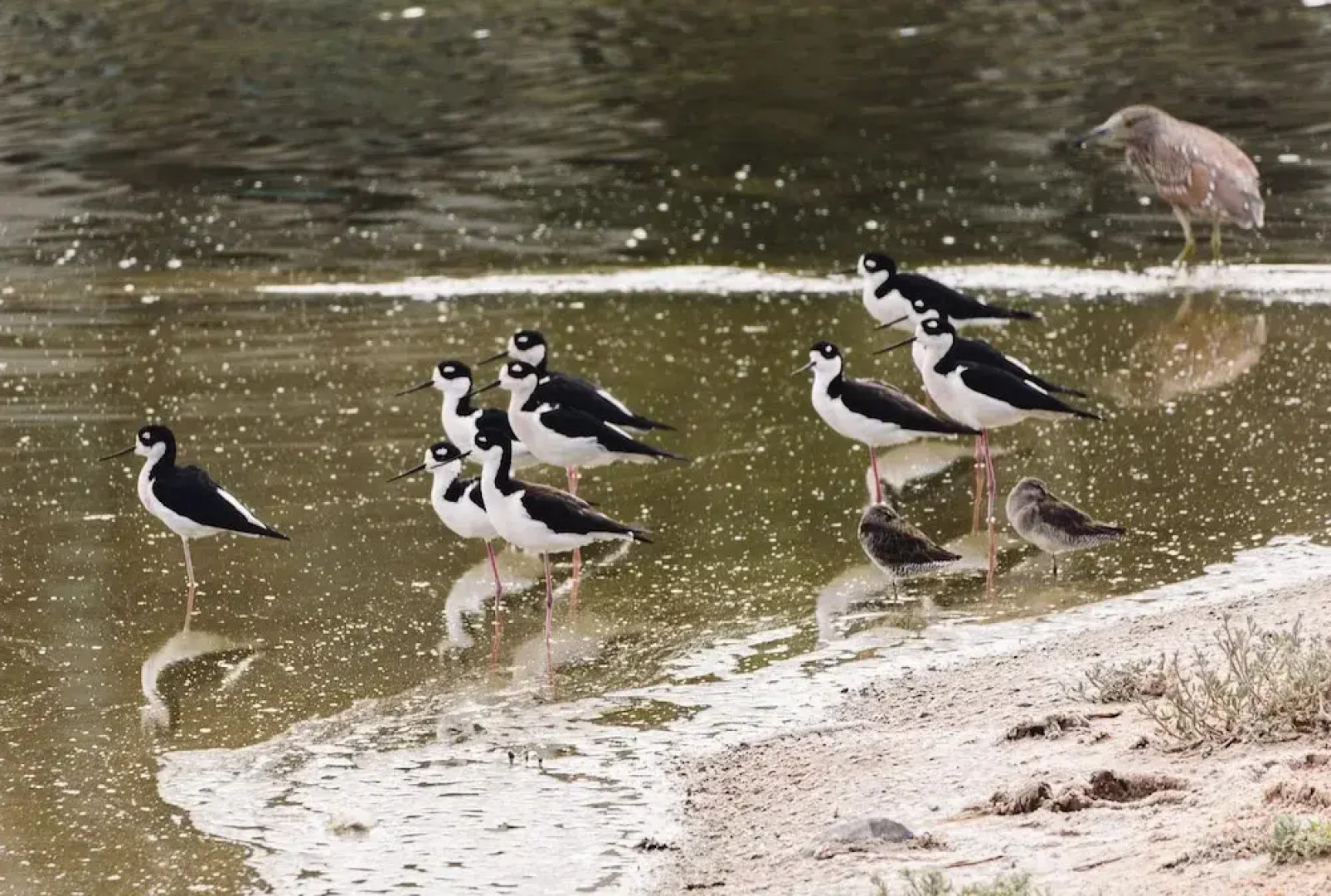 Hotel Azul Talavera Country Club