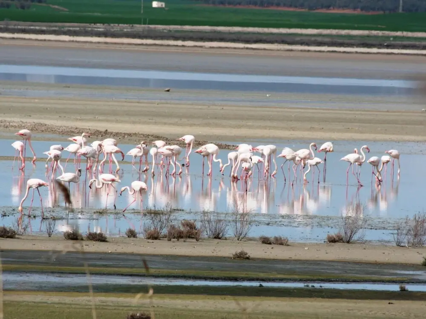 Attractive and Nice Holiday Home With Private Swimming Pool in a Beautiful Area