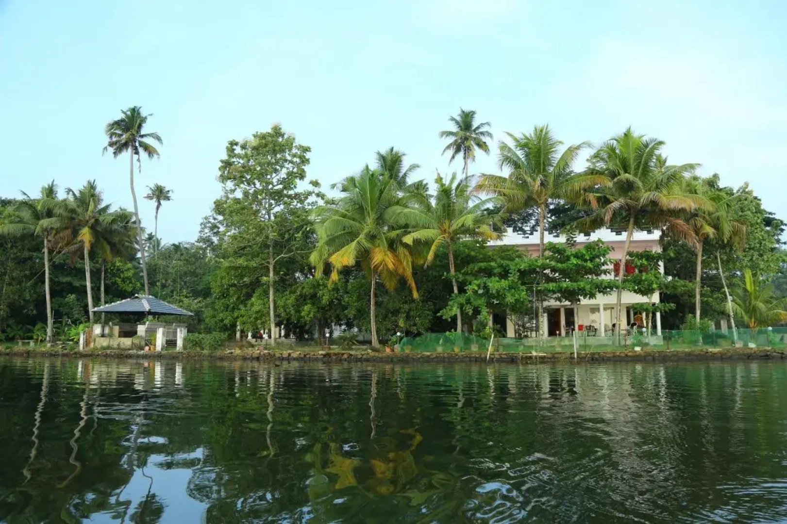 orchid lake view homestay