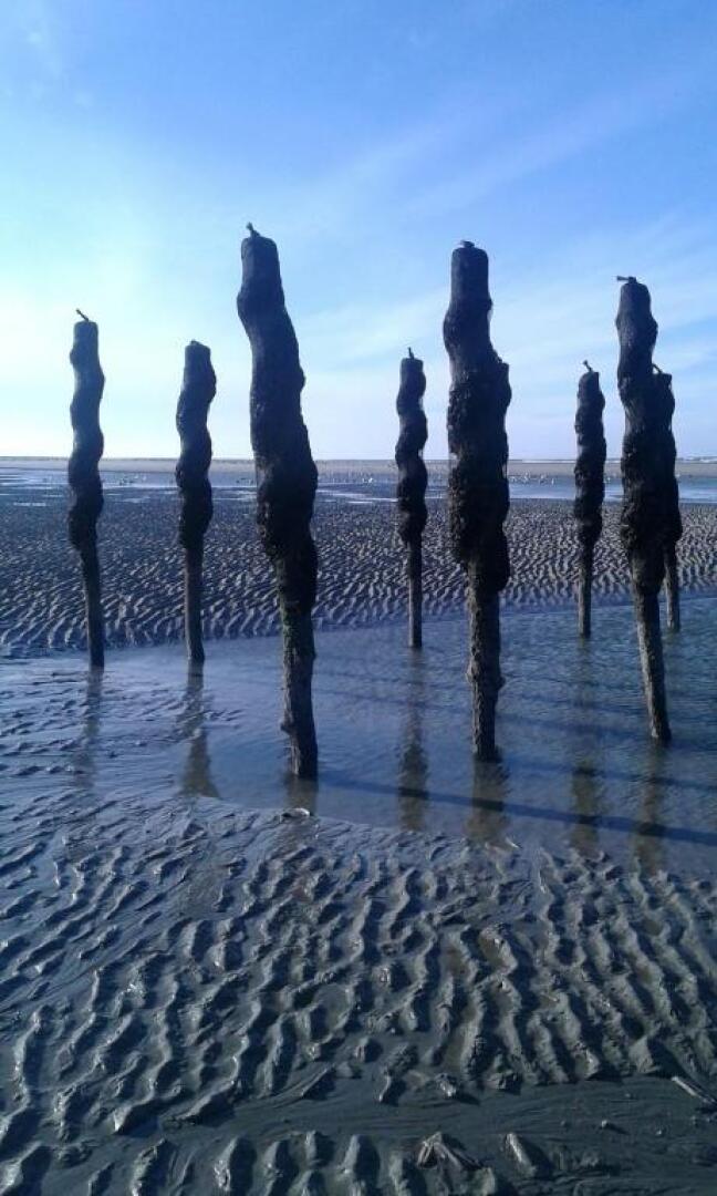 Plaisirs du bord de mer