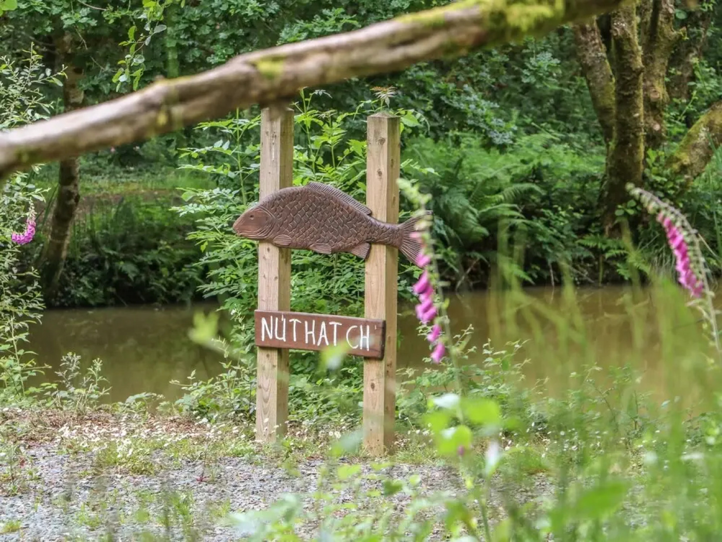 Birch Tree Kingslakes