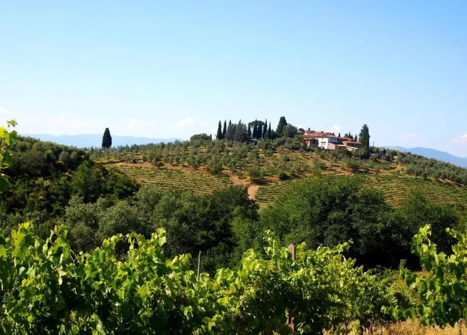 Agriturismo Poggio Arioso