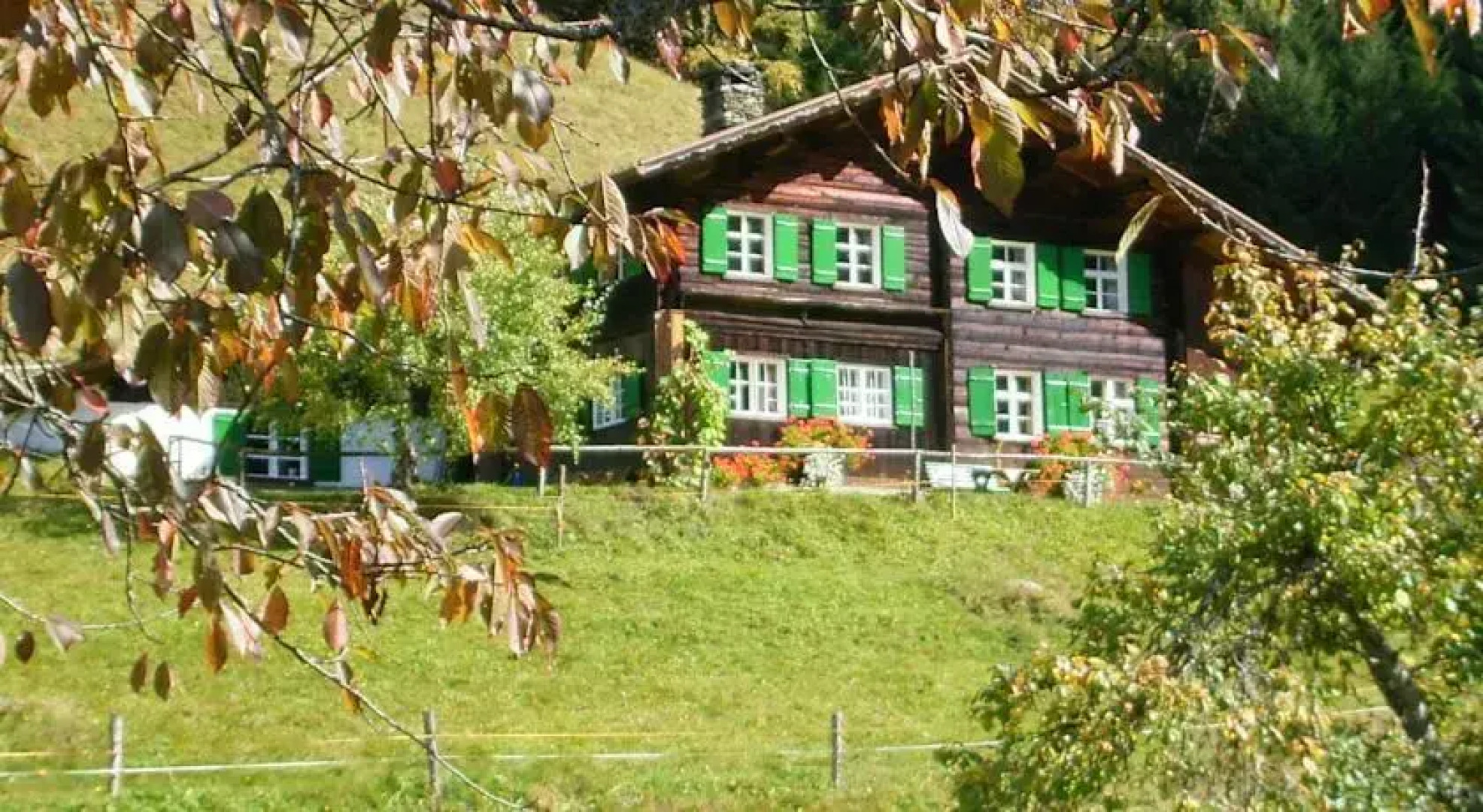 Almhütte Ferienhaus Buchen