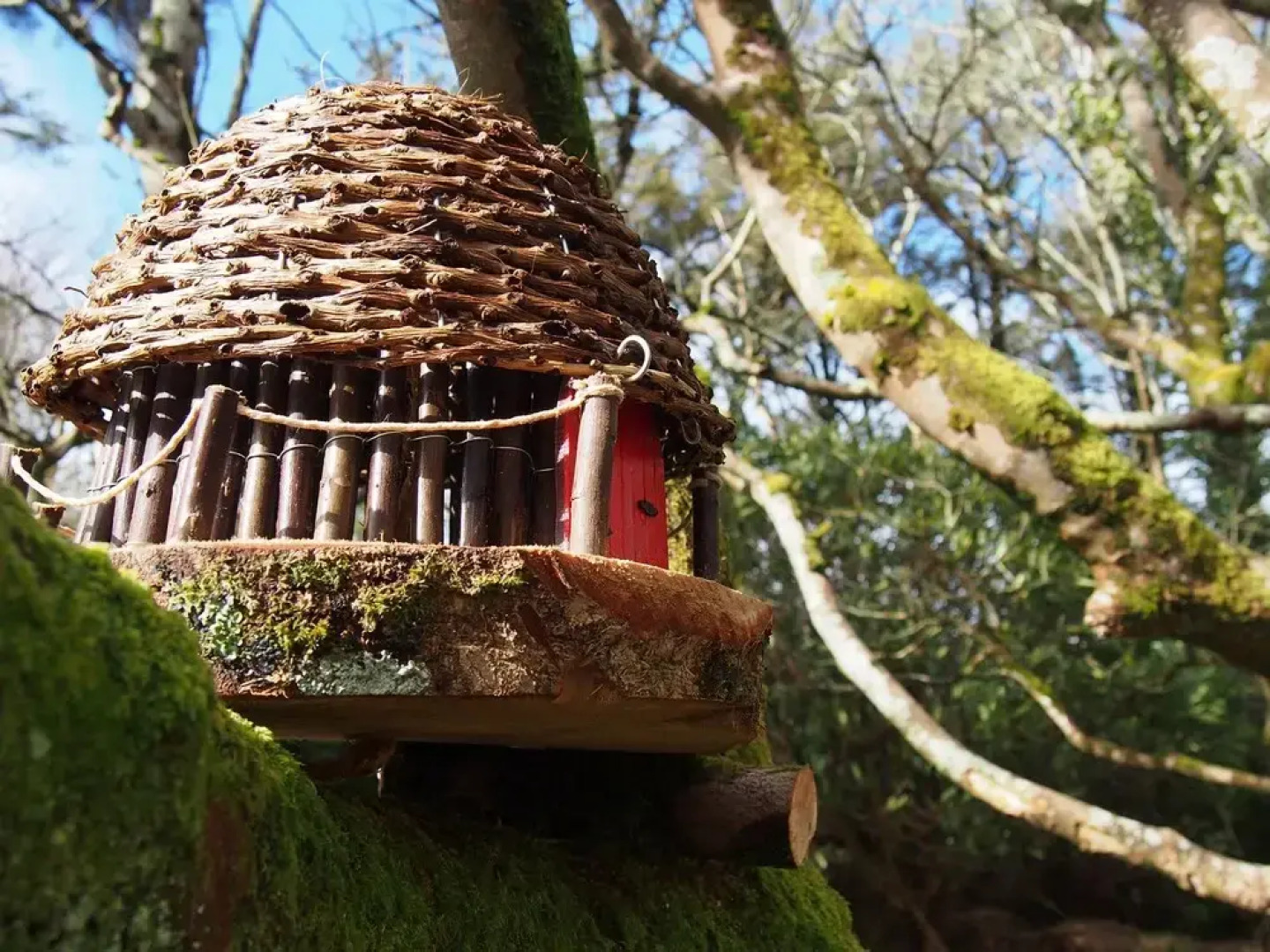 The Valley House Hostel