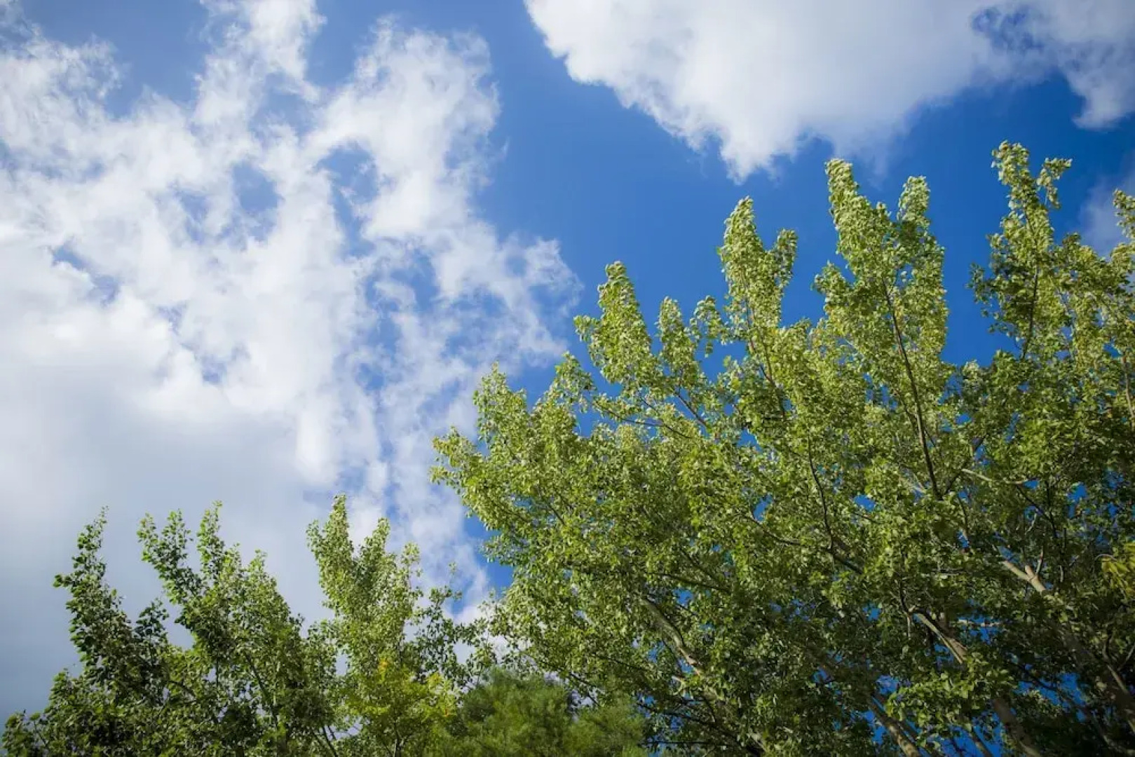 Yamashiro Onsen Midori no Yado Bansyoukaku