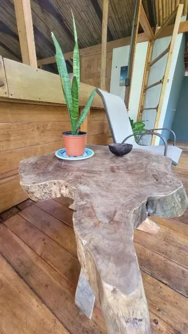 Private jungle “Loft del Rio” river access