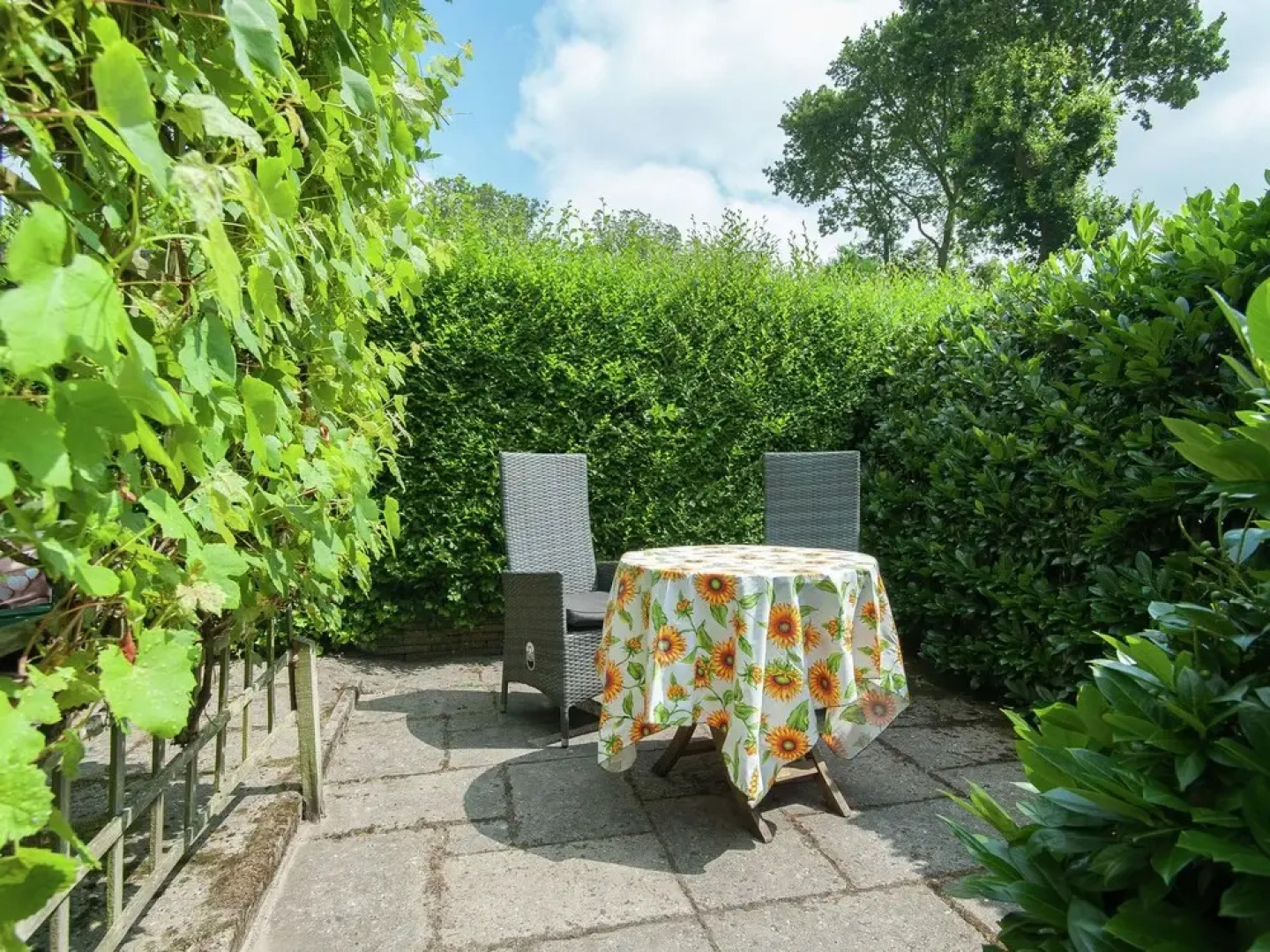 Cozy Cottage in Schoorl near Forest