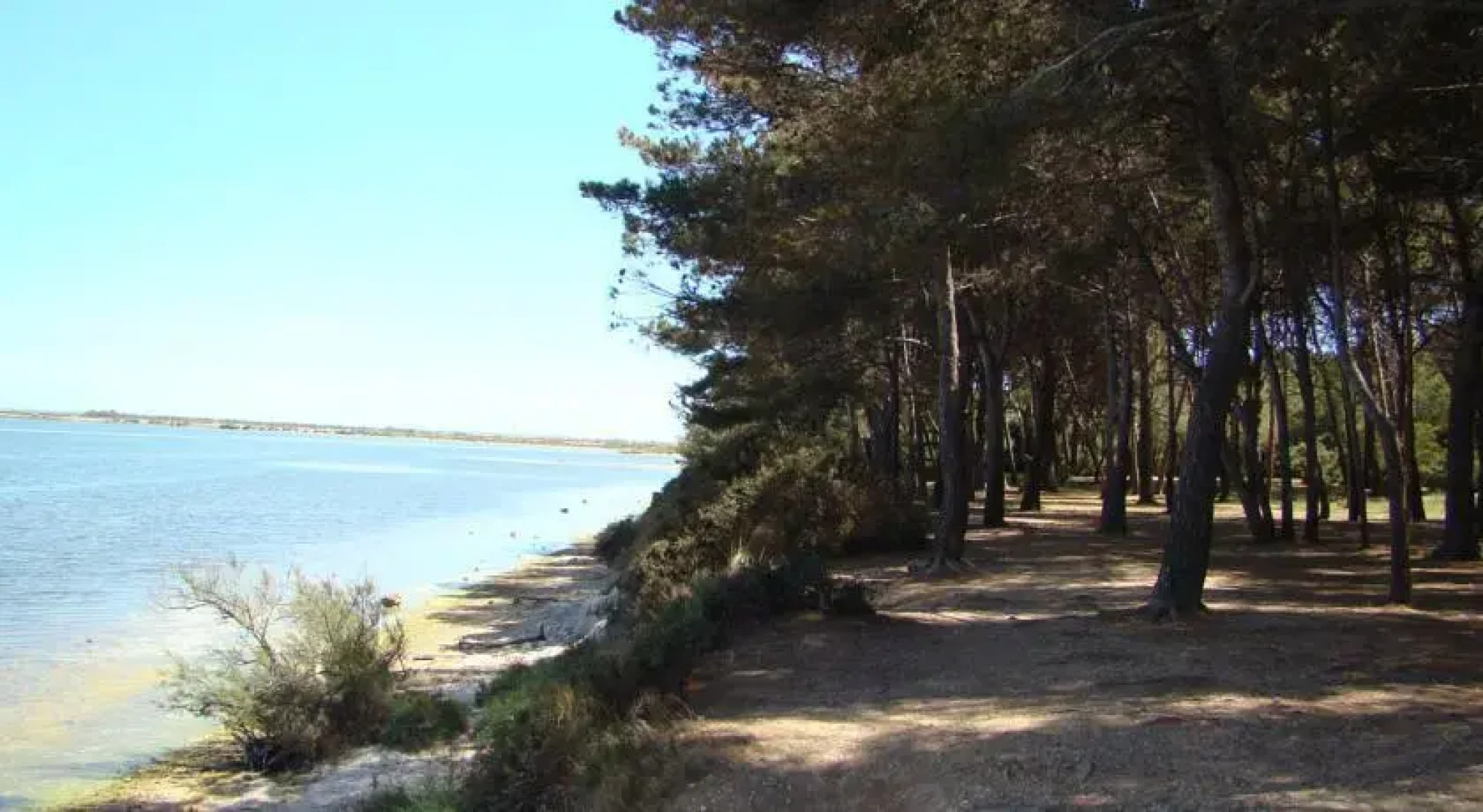 Location Villa Les Jardins de la Robine 59