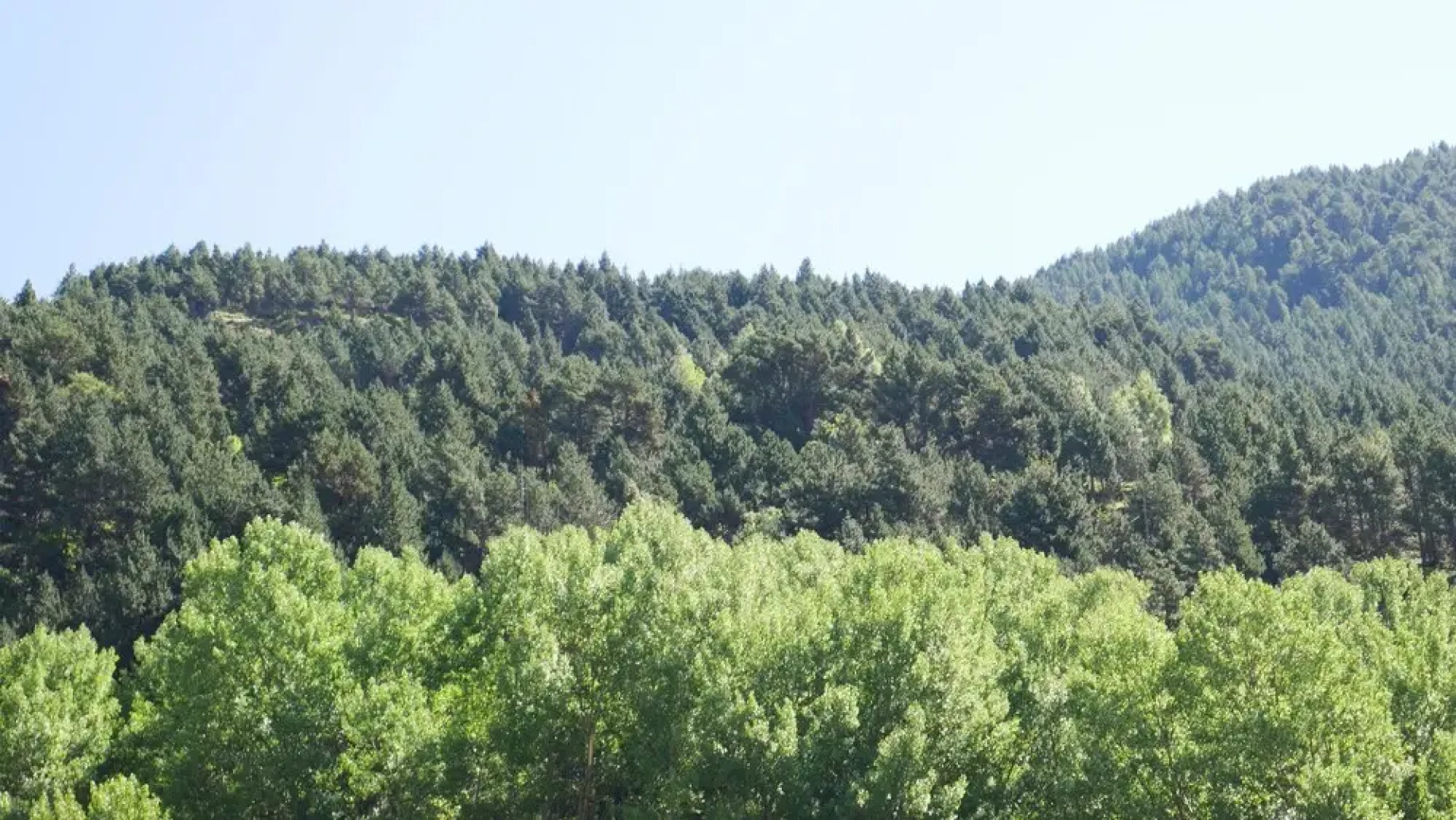 Vitivola Comapedrosa Canillo