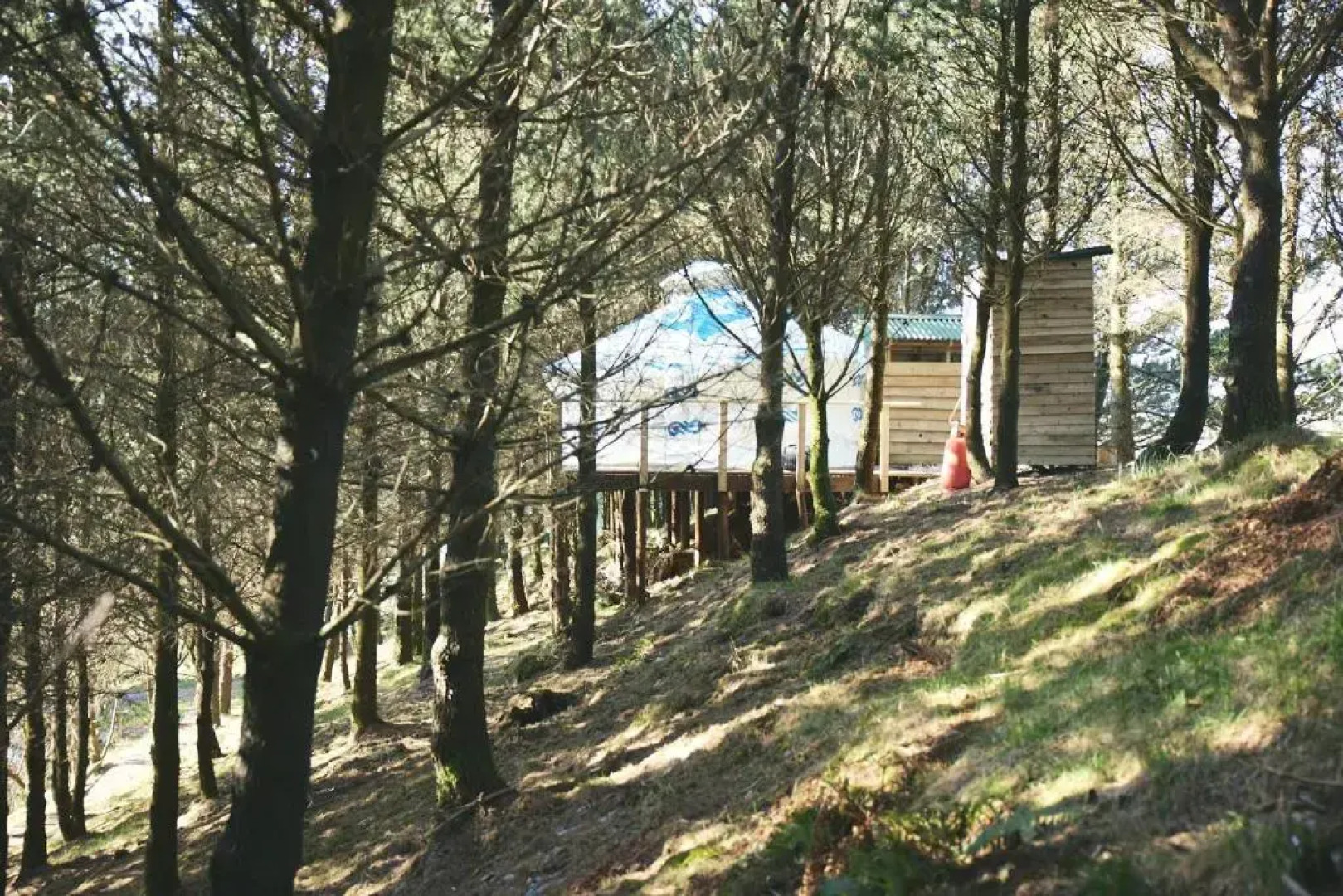 Raven Yurt - Yurtopia