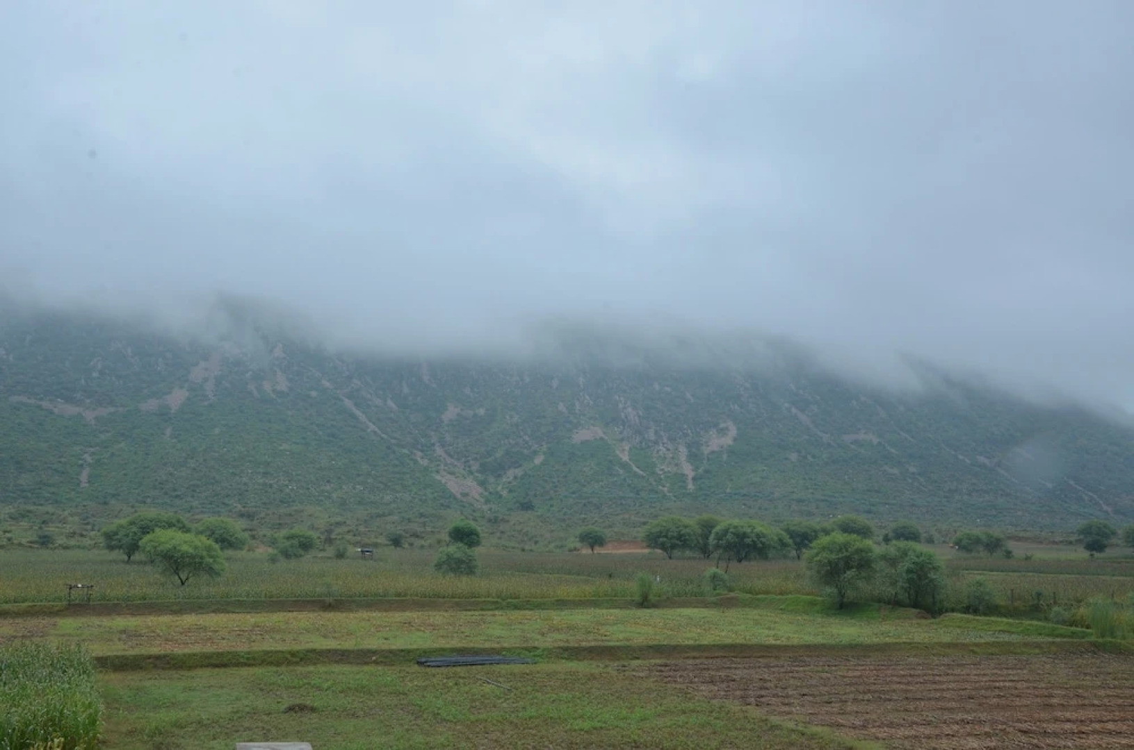 The Tiger Hill Sariska Resort