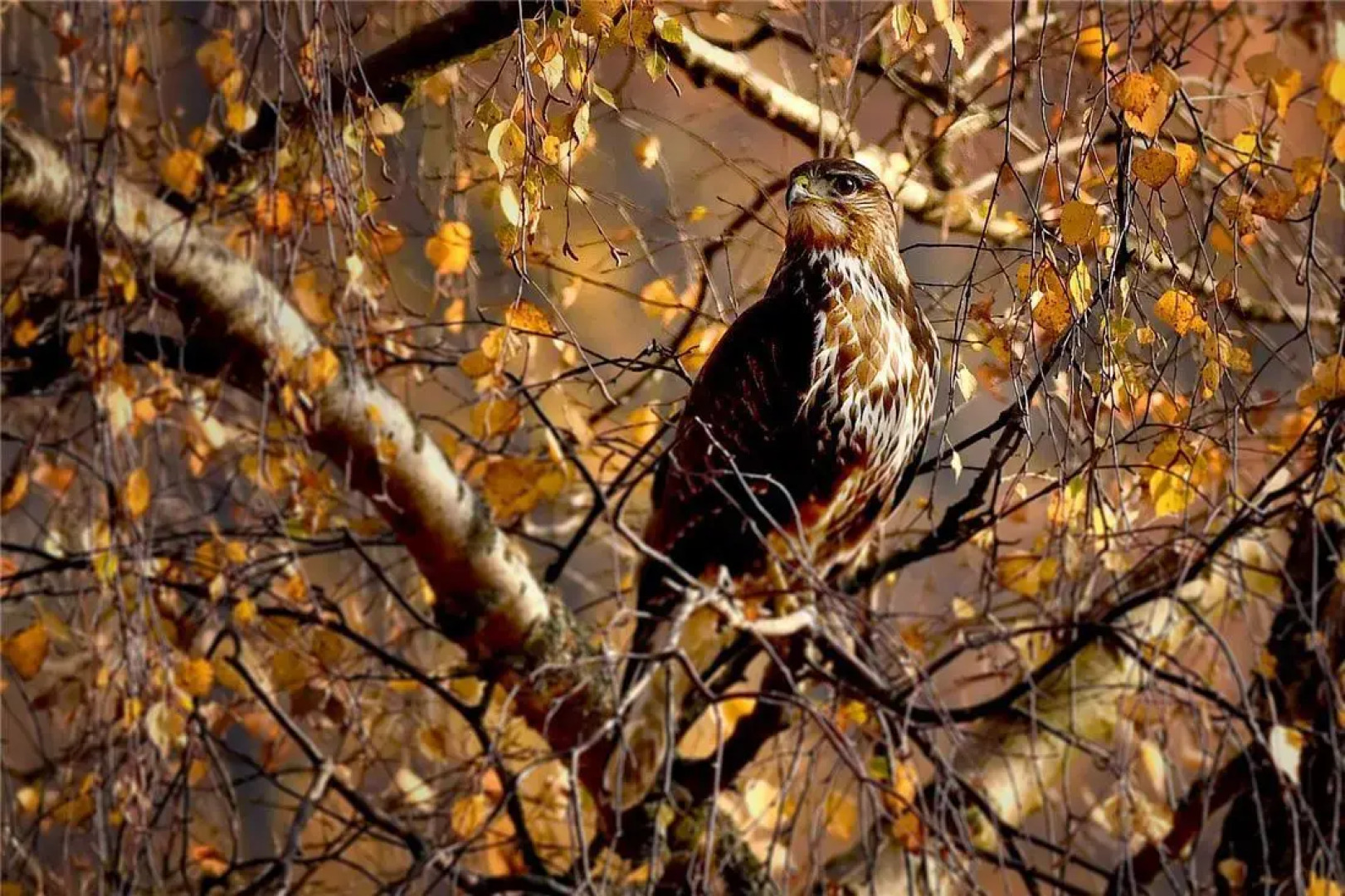 ERIKSBERG Hotel & Nature Reserve