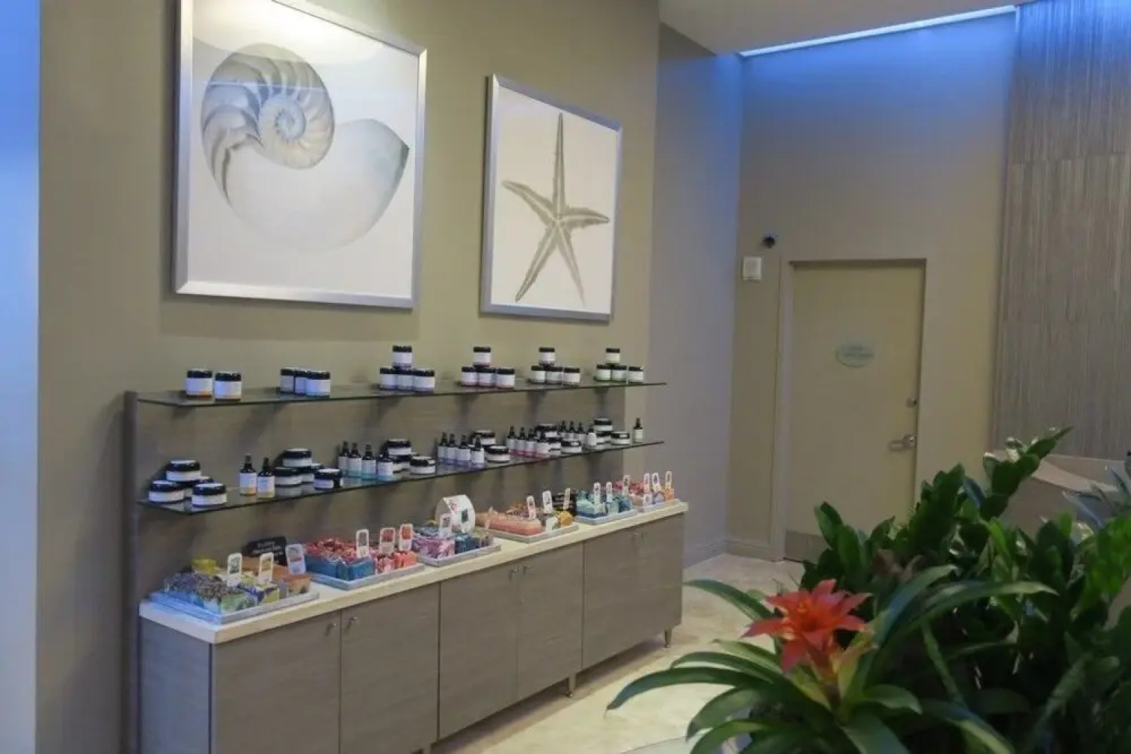 TRUMOVDS Unit - 515 - studio Br