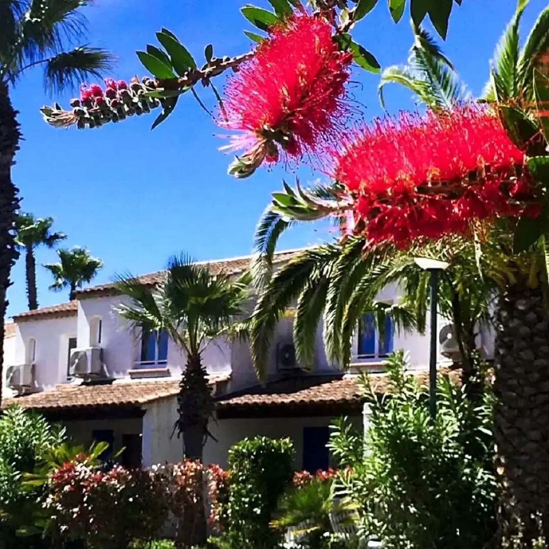 Residence La Palmeraie