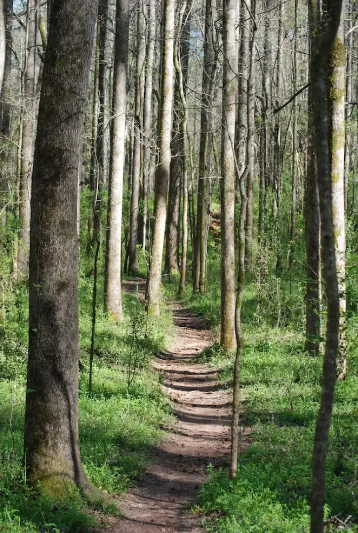 The Colonels B&B and Inn