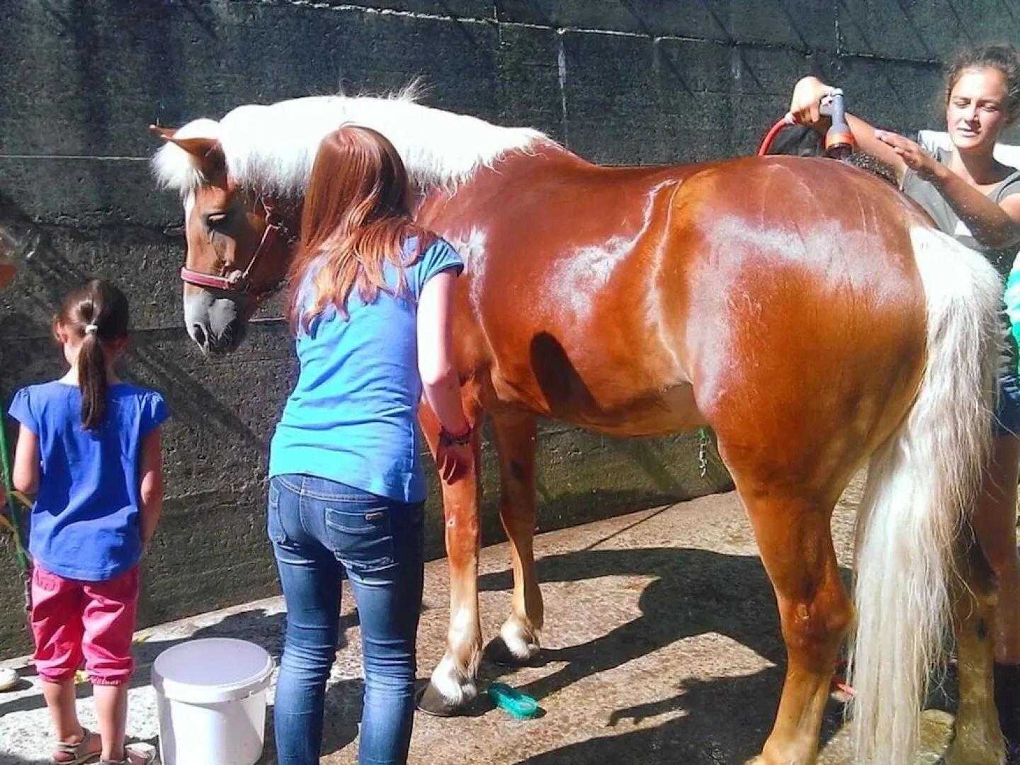 the Veitenhof Comfortable Holiday Residence